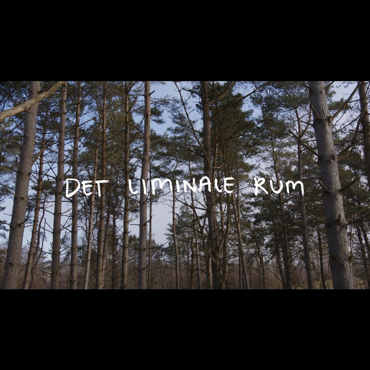 Det Liminale rum - vilkåret for at skabe i spændingsfeltet mellem natur og kultur. - Podcasts