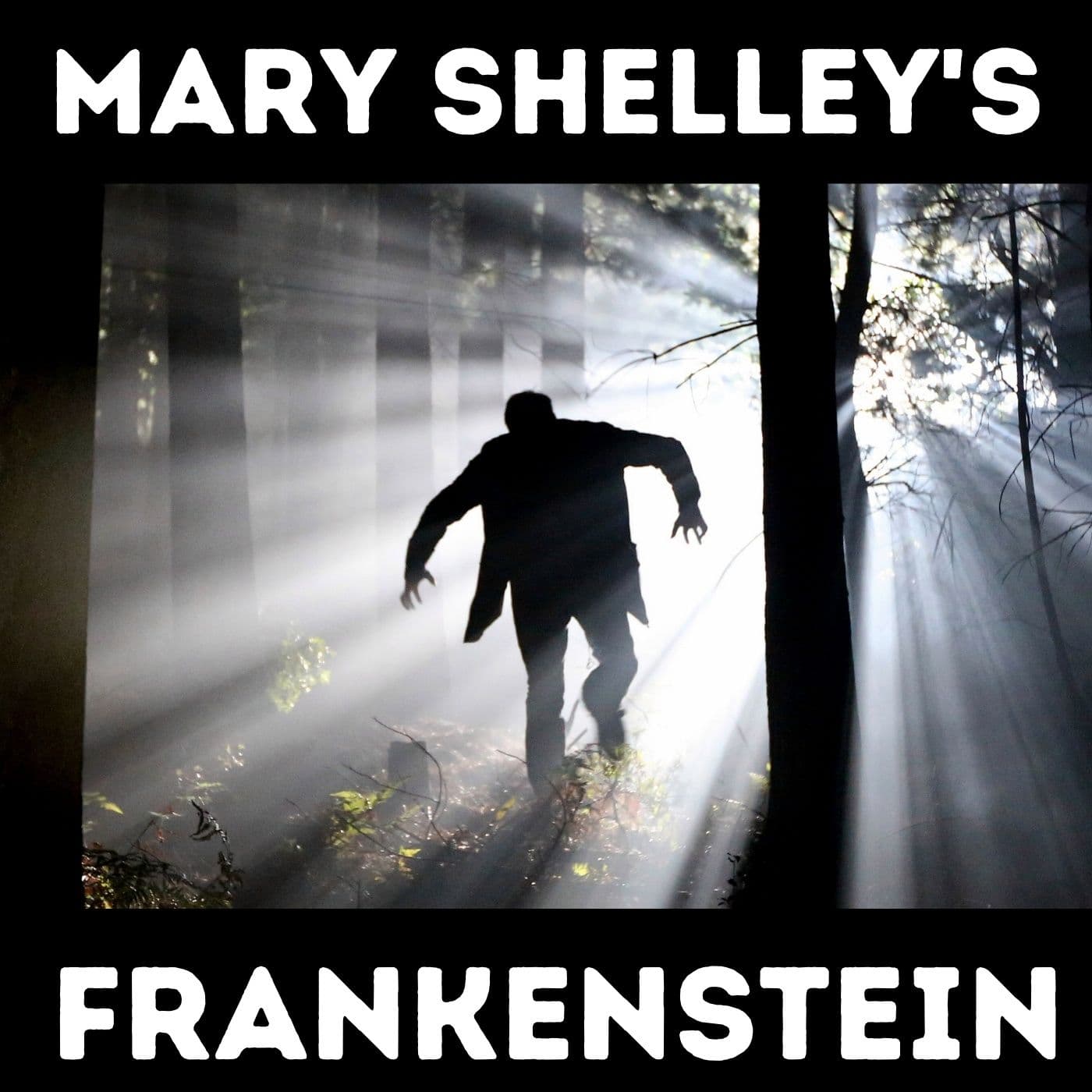 Frankenstein - Mary Shelley - Podcasts