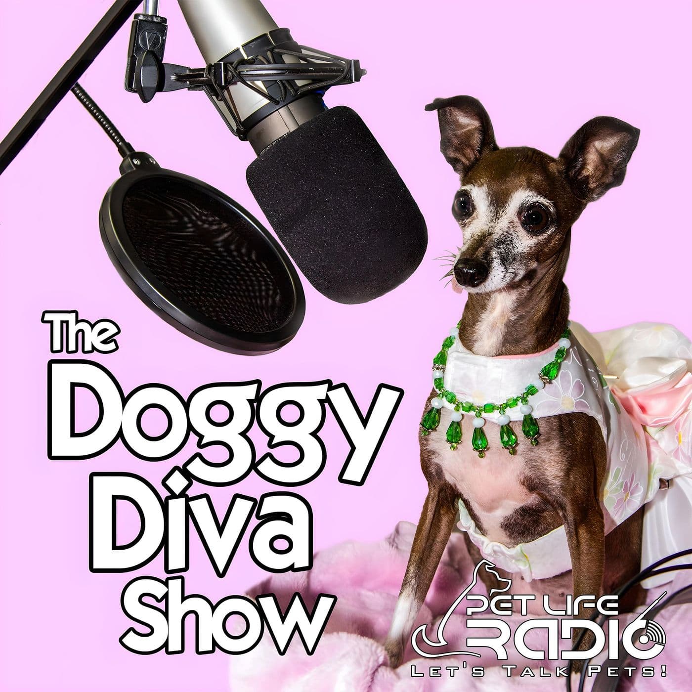 The Doggy Diva Show on Pet Life Radio - Podcasts