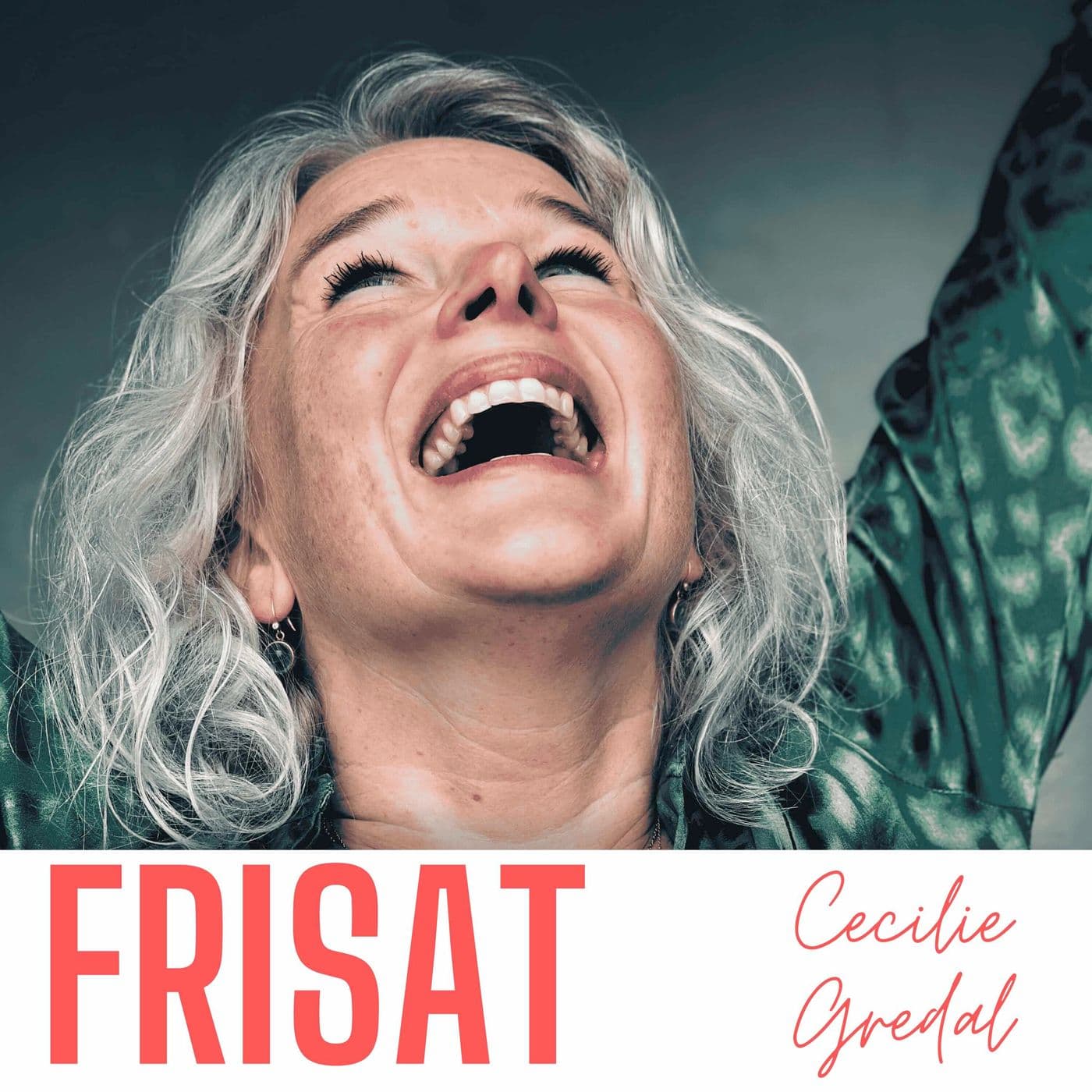 FRISAT - Podcasts