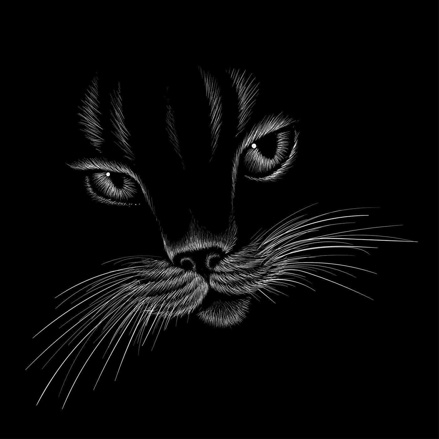 Cerita Sikucing - Podcasts
