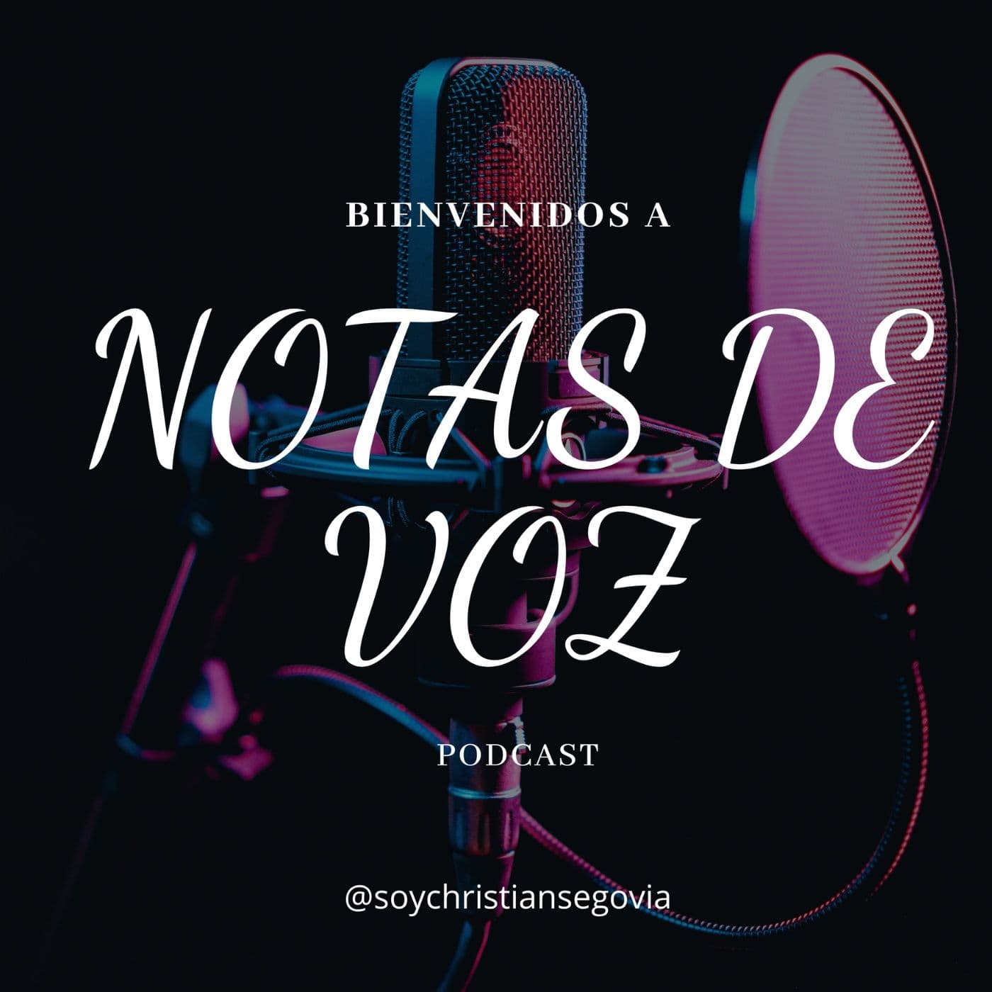 NOTAS DE VOZ PODCAST - Podcasts