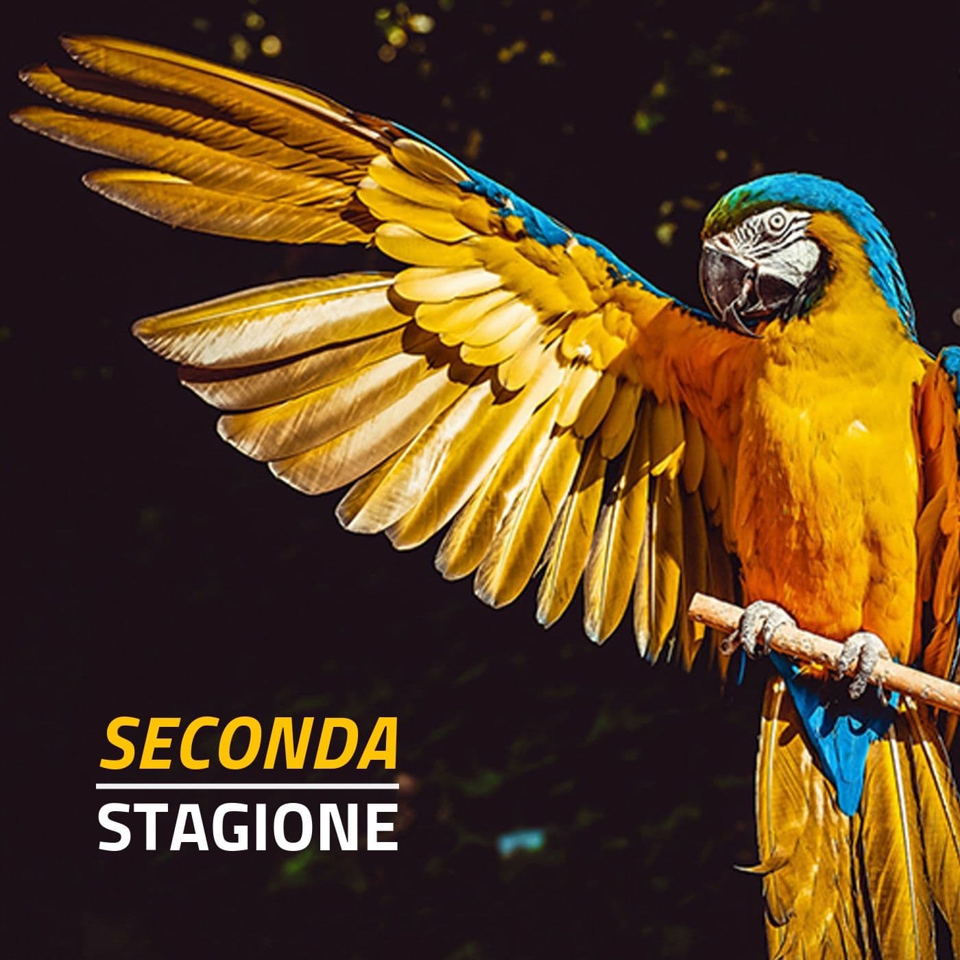 Prof fantastici e dove trovarli / s02 - Podcasts
