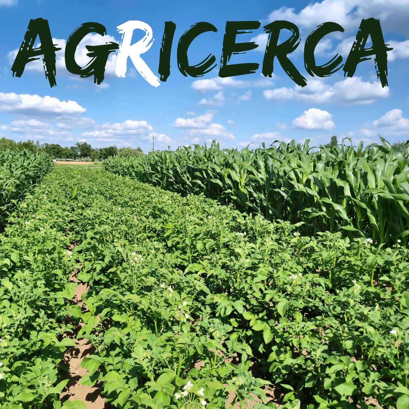 agRicerca - Podcasts