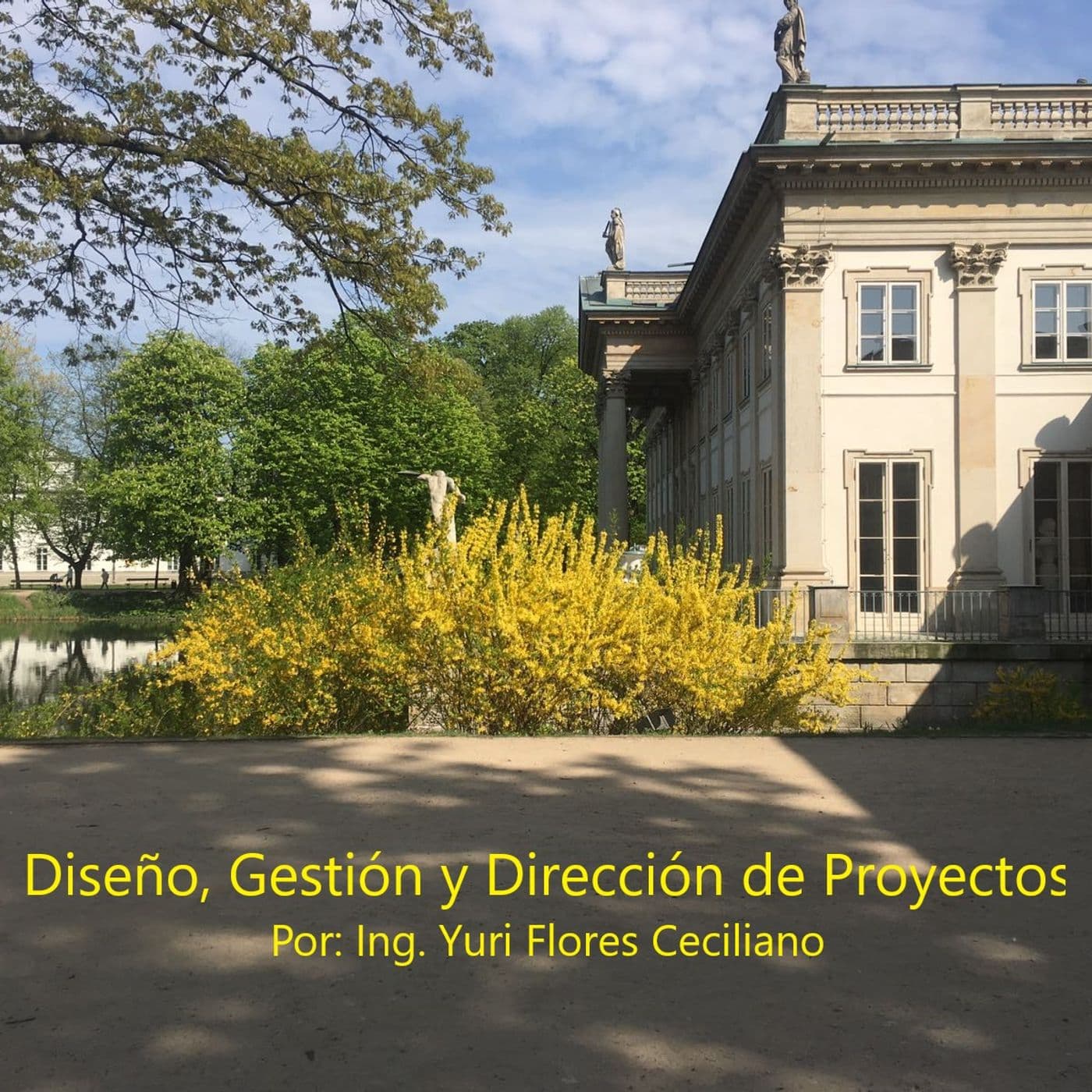 Diseño, Gestión y Dirección de Proyectos - Podcasts