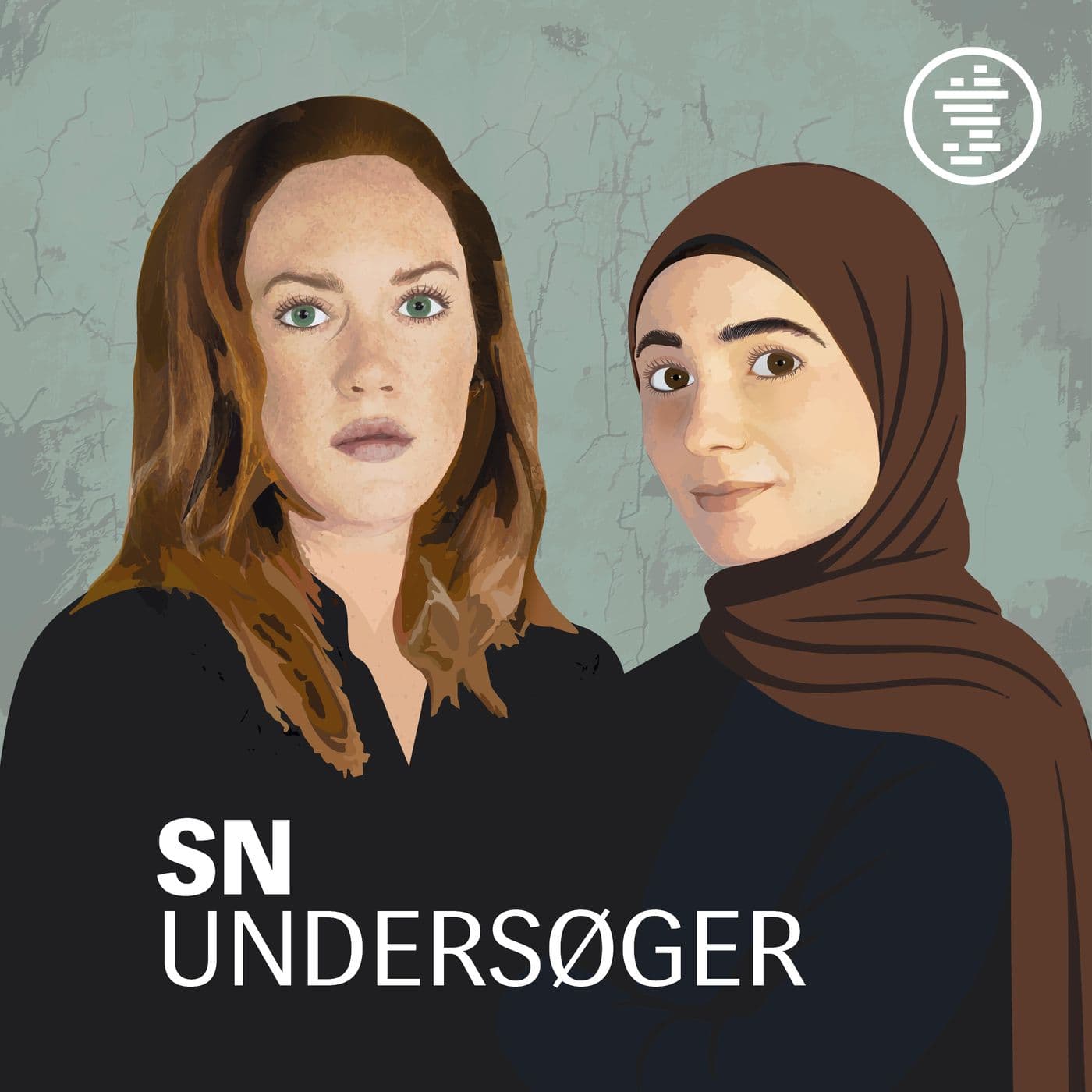 SN Undersøger - Podcasts