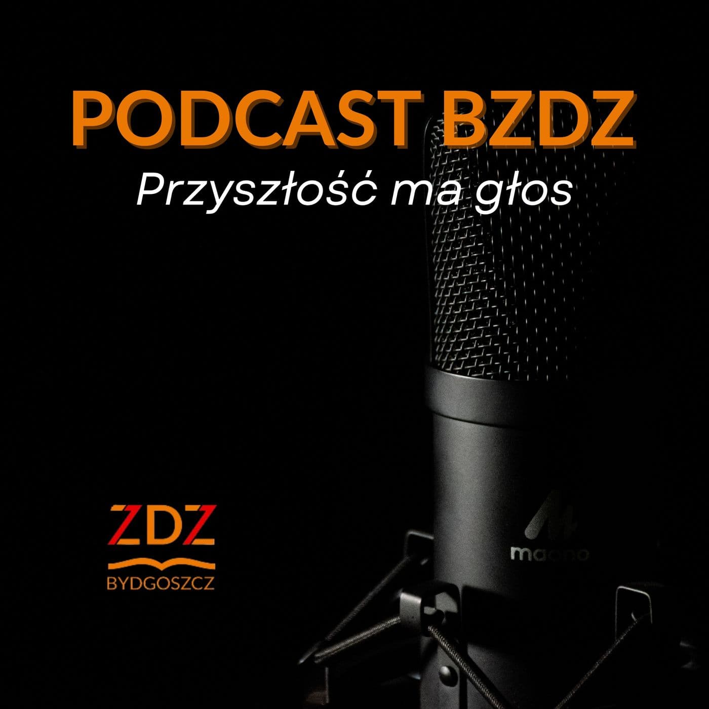 Podcast BZDZ - Przyszłość ma głos - Podcasts