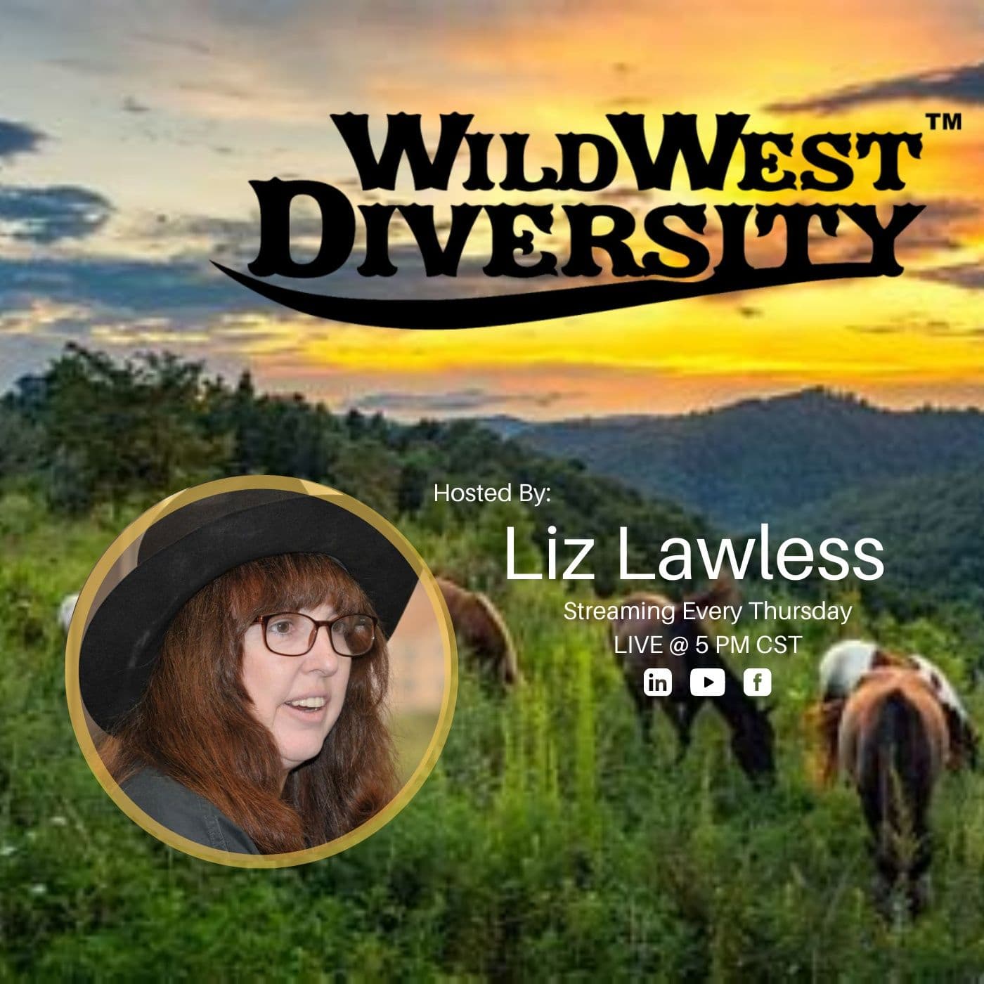Wild West Diversity with Liz Lawless - Podcasts