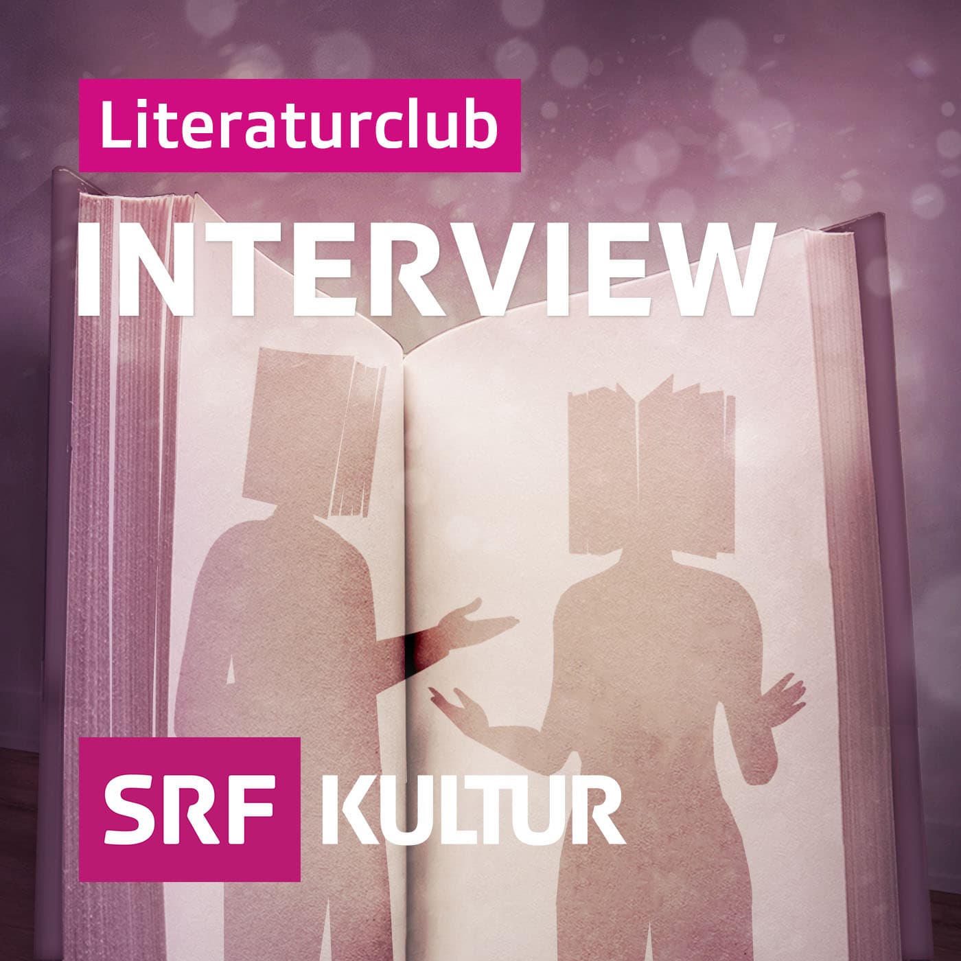 Literaturclub Interview - Podcasts