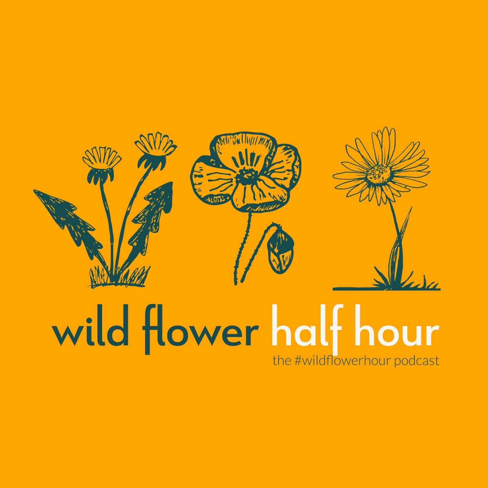 Wild Flower (Half) Hour - Podcasts