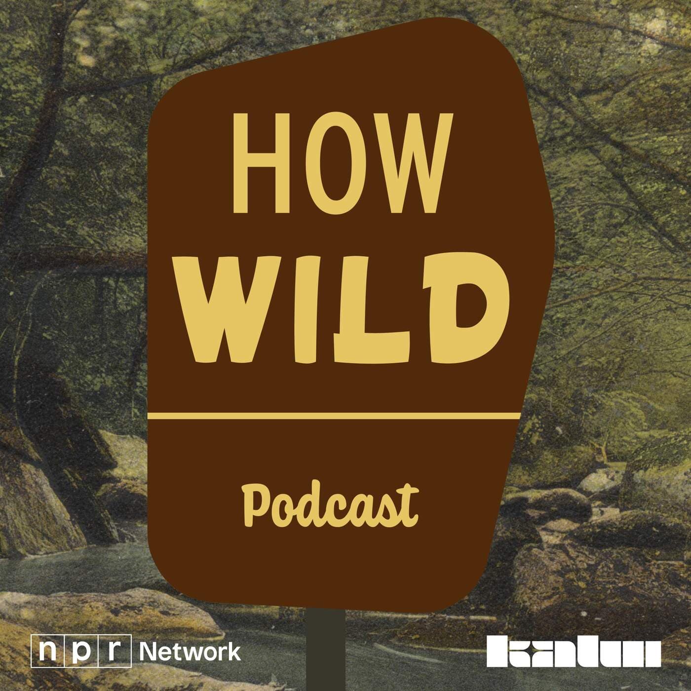 How Wild - Podcasts