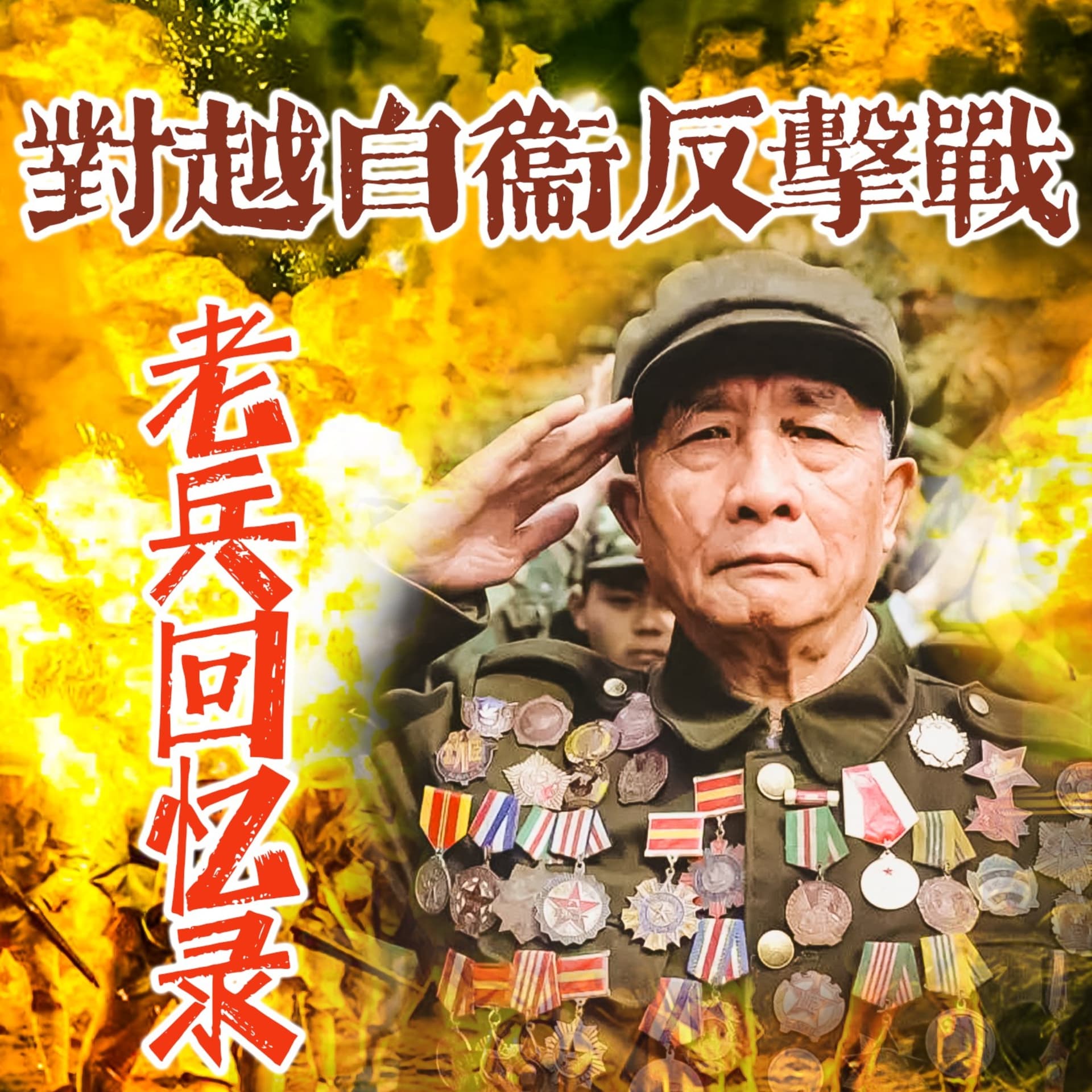 对越自卫反击战老兵回忆录(多人)