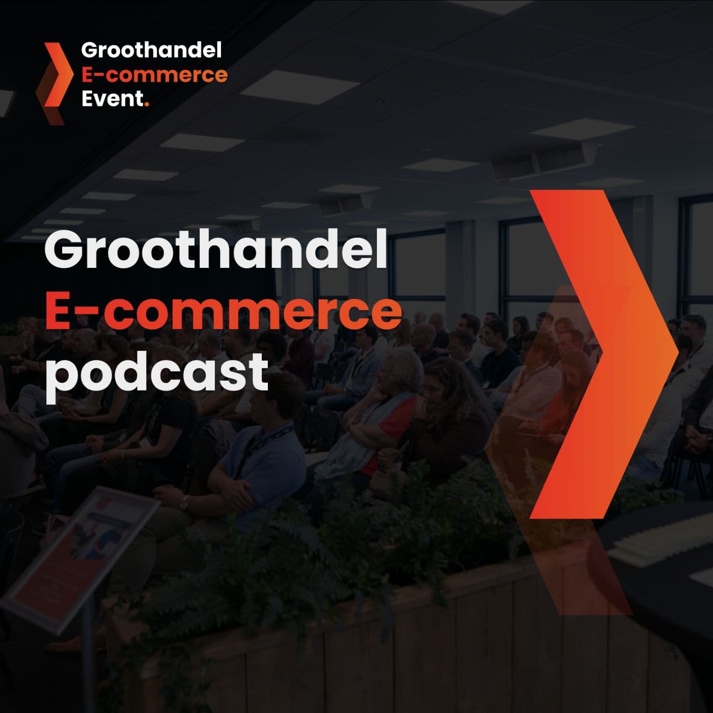 De Groothandel E-commerce podcast - Podcasts