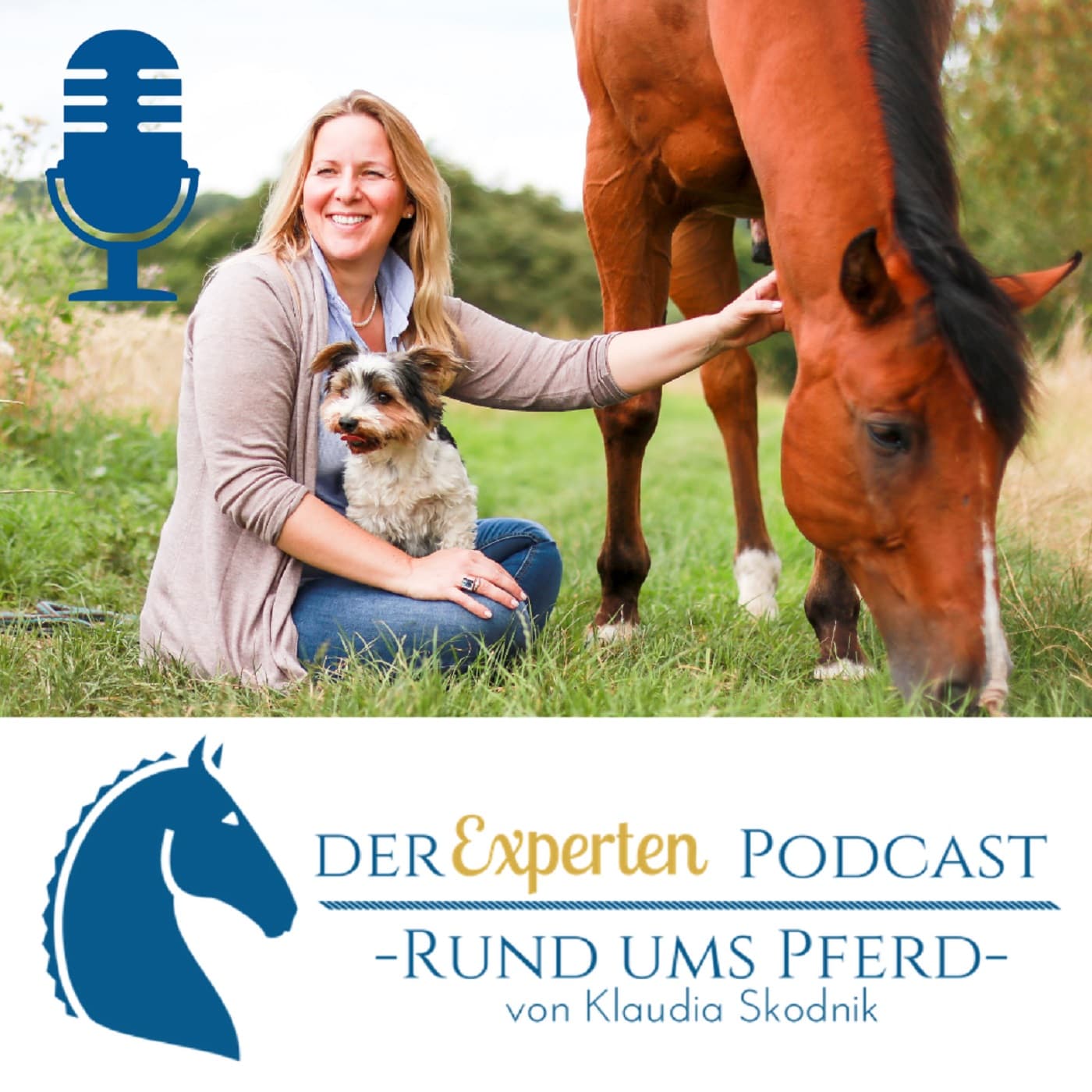 Rund ums Pferd - Klaudia Skodnik - Podcasts