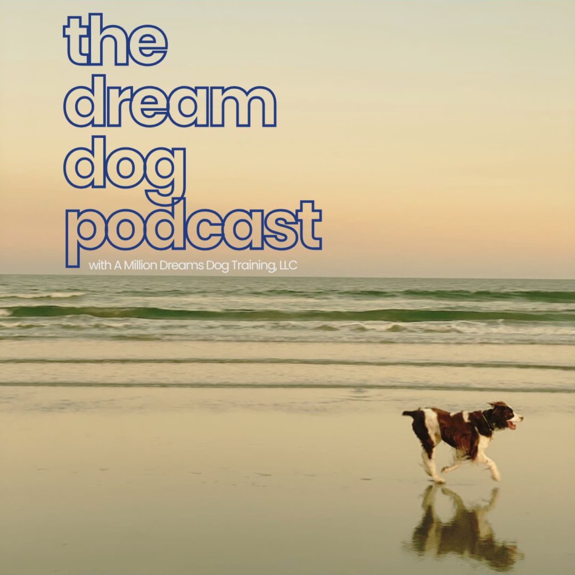 The Dream Dog Podcast - Podcasts
