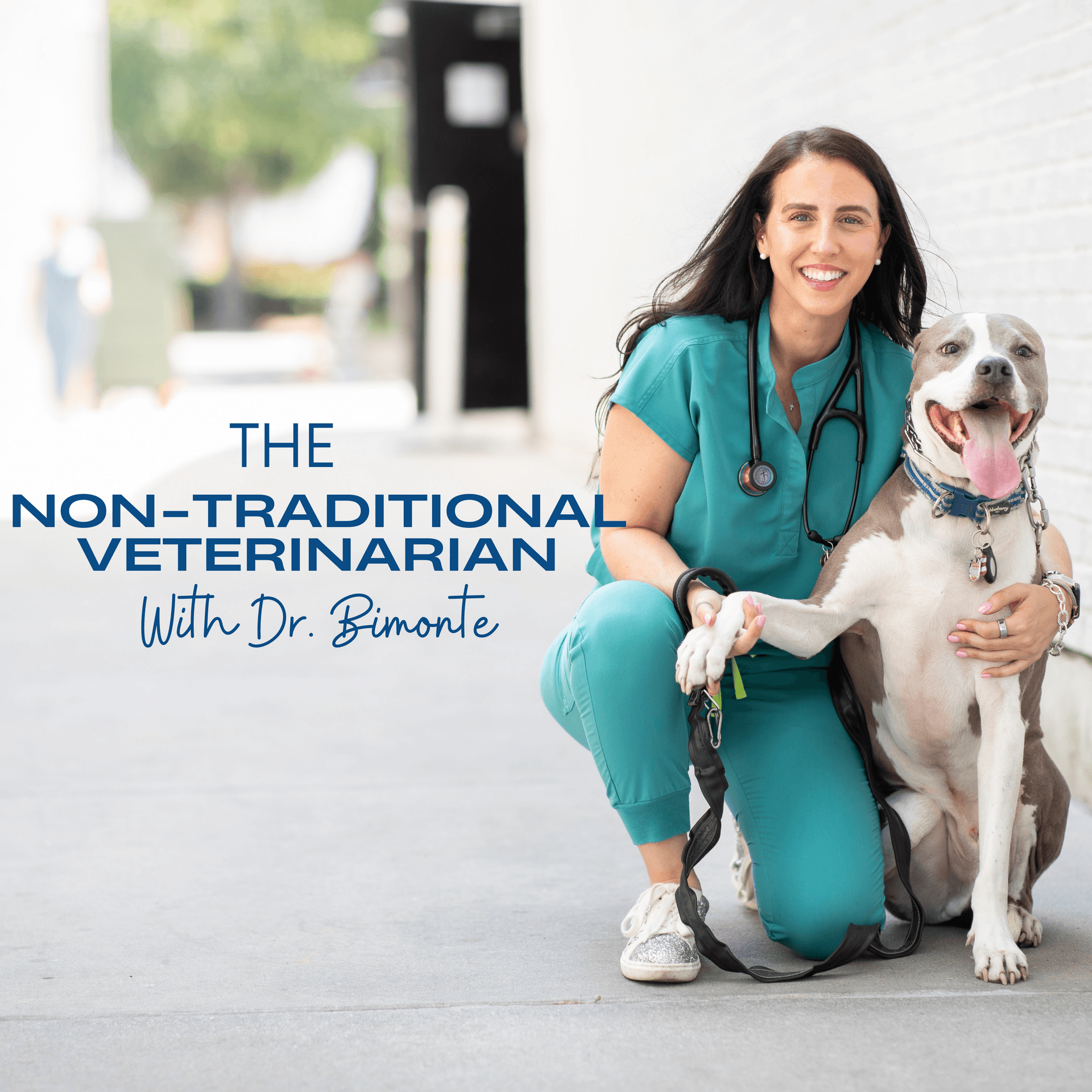 The Non-Traditional Veterinarian - Podcasts
