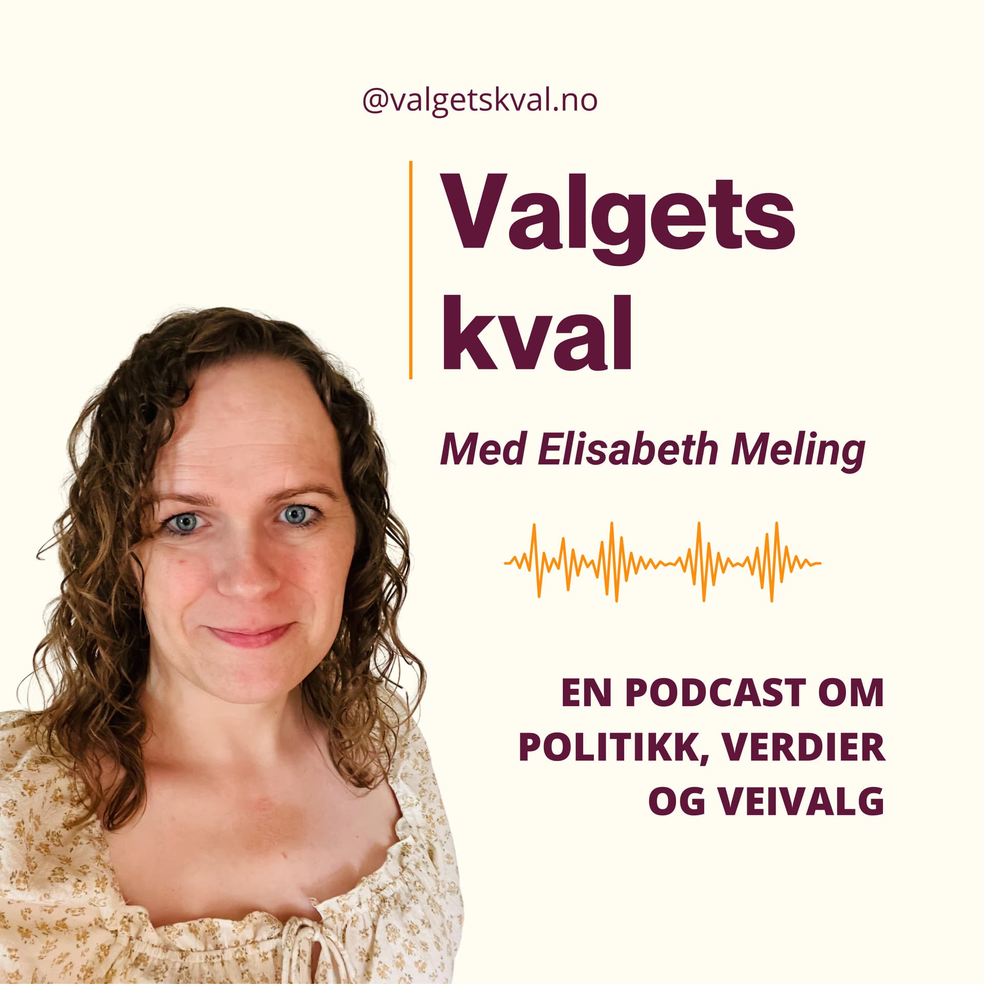 Valgets kval - Podcasts