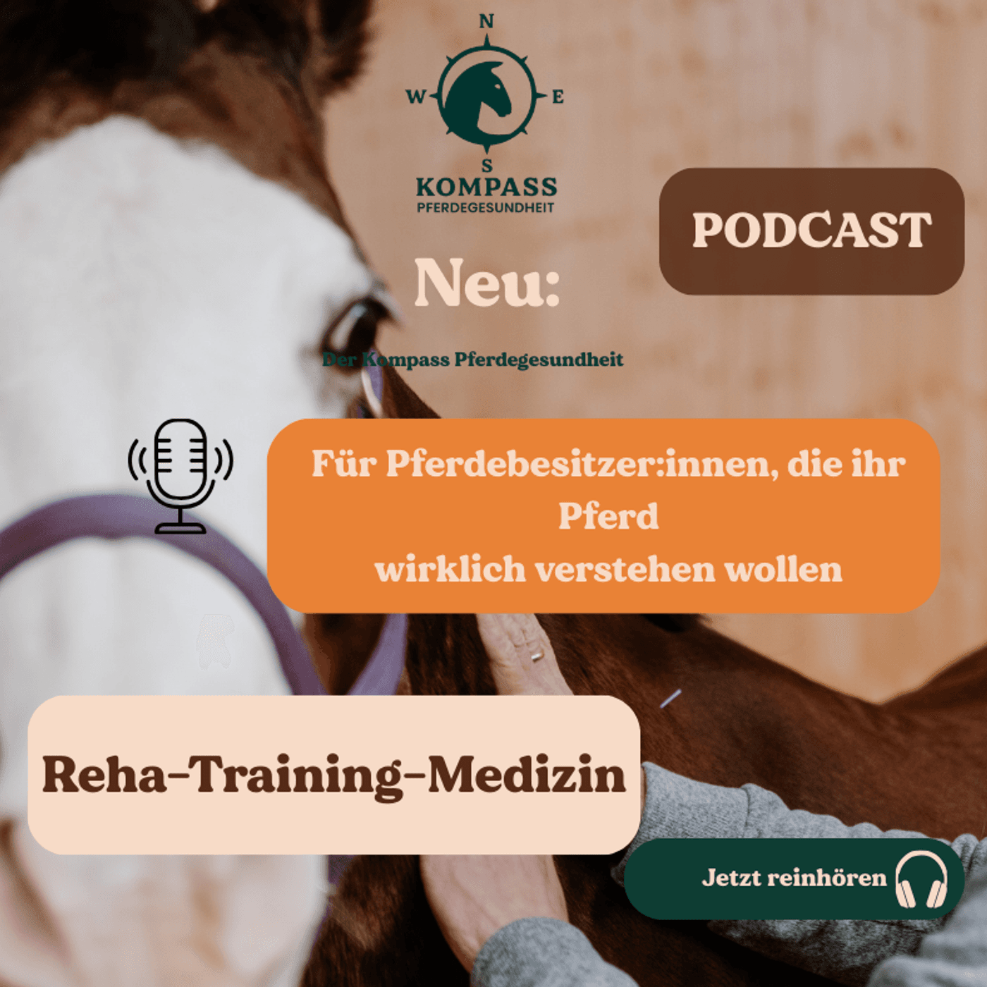 Kompass Pferdegesundheit - Podcasts