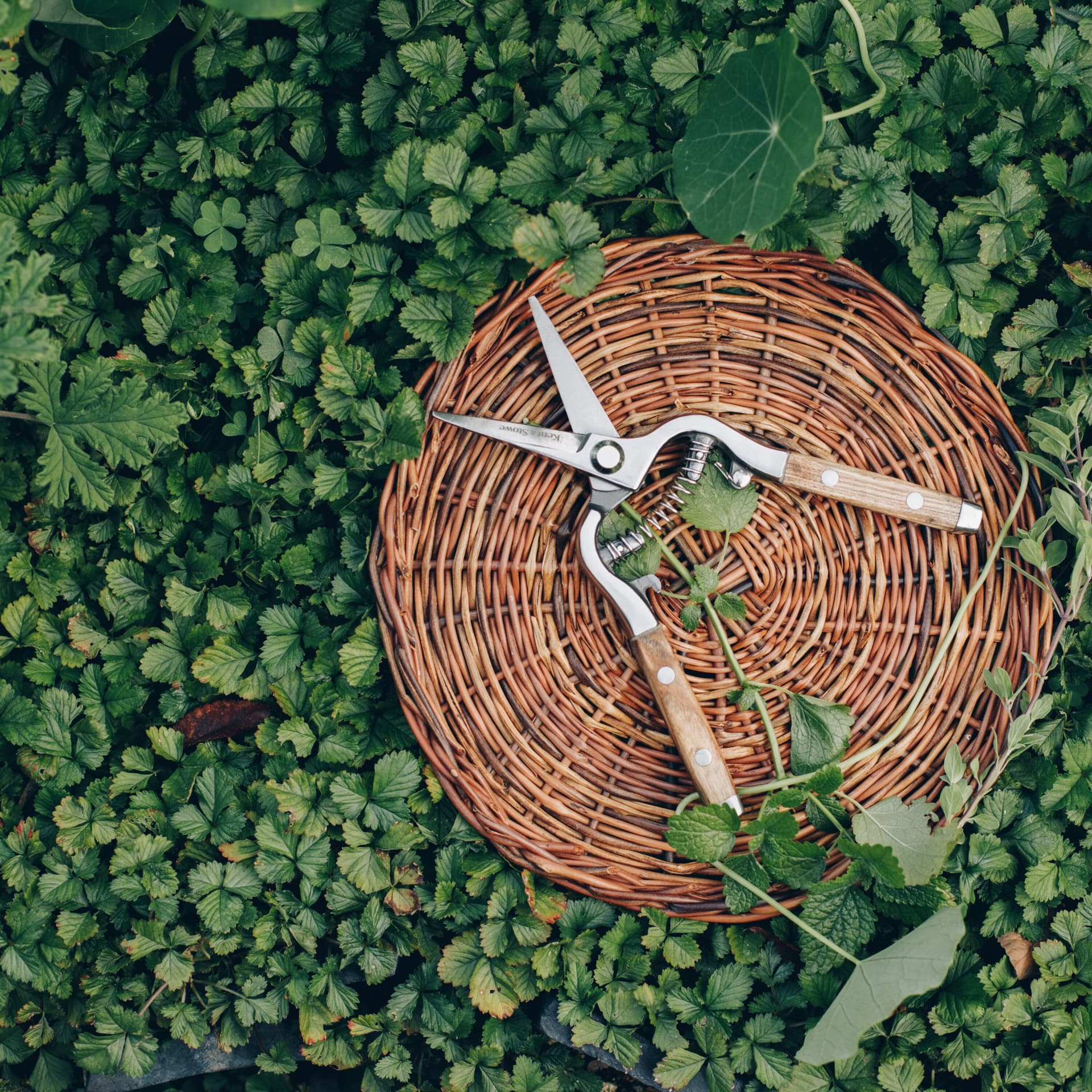 botanic life moments - Podcasts