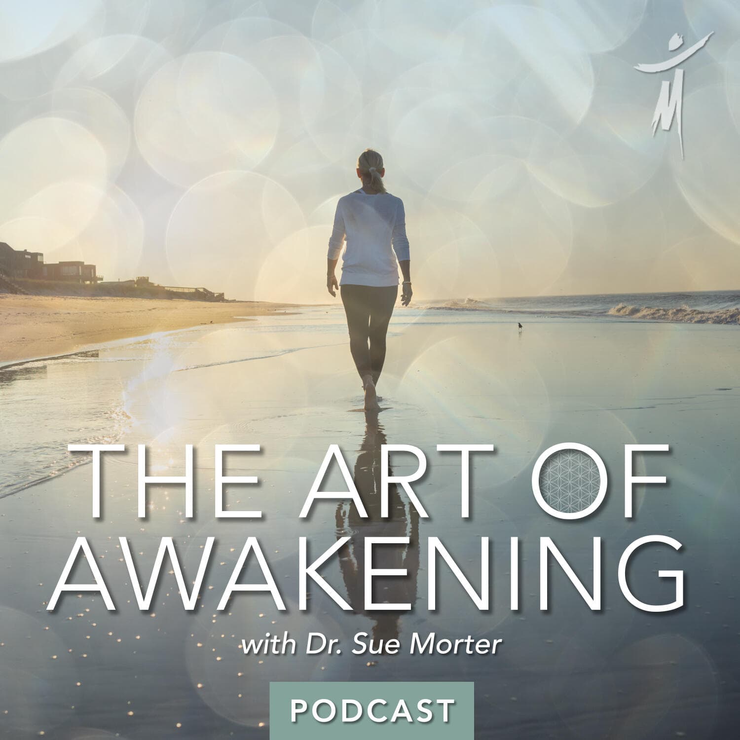 The Art of Awakening - Podcasts