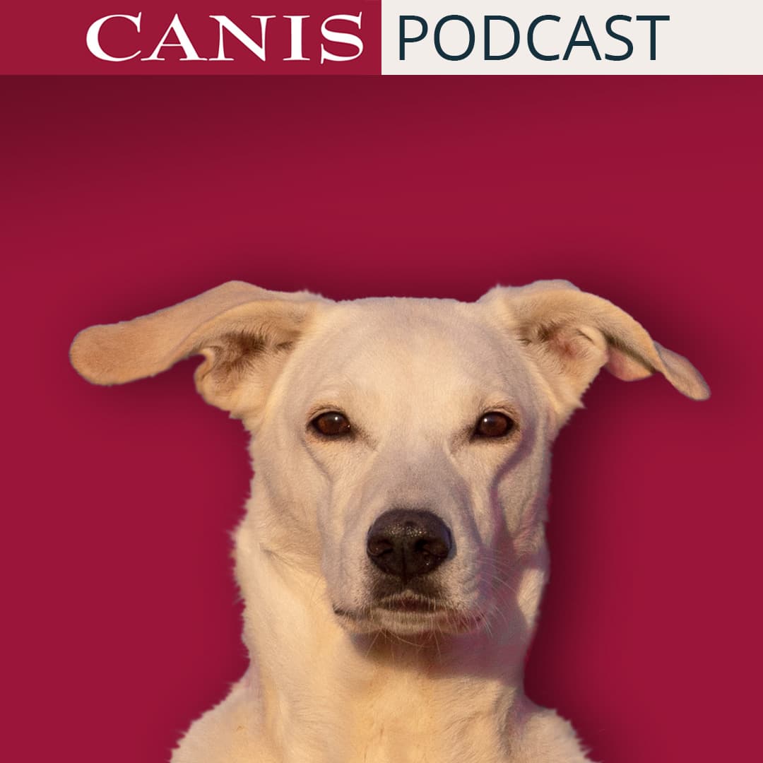 Der CANIS-Podcast – Hundeexpert:innen ausgefragt - Podcasts