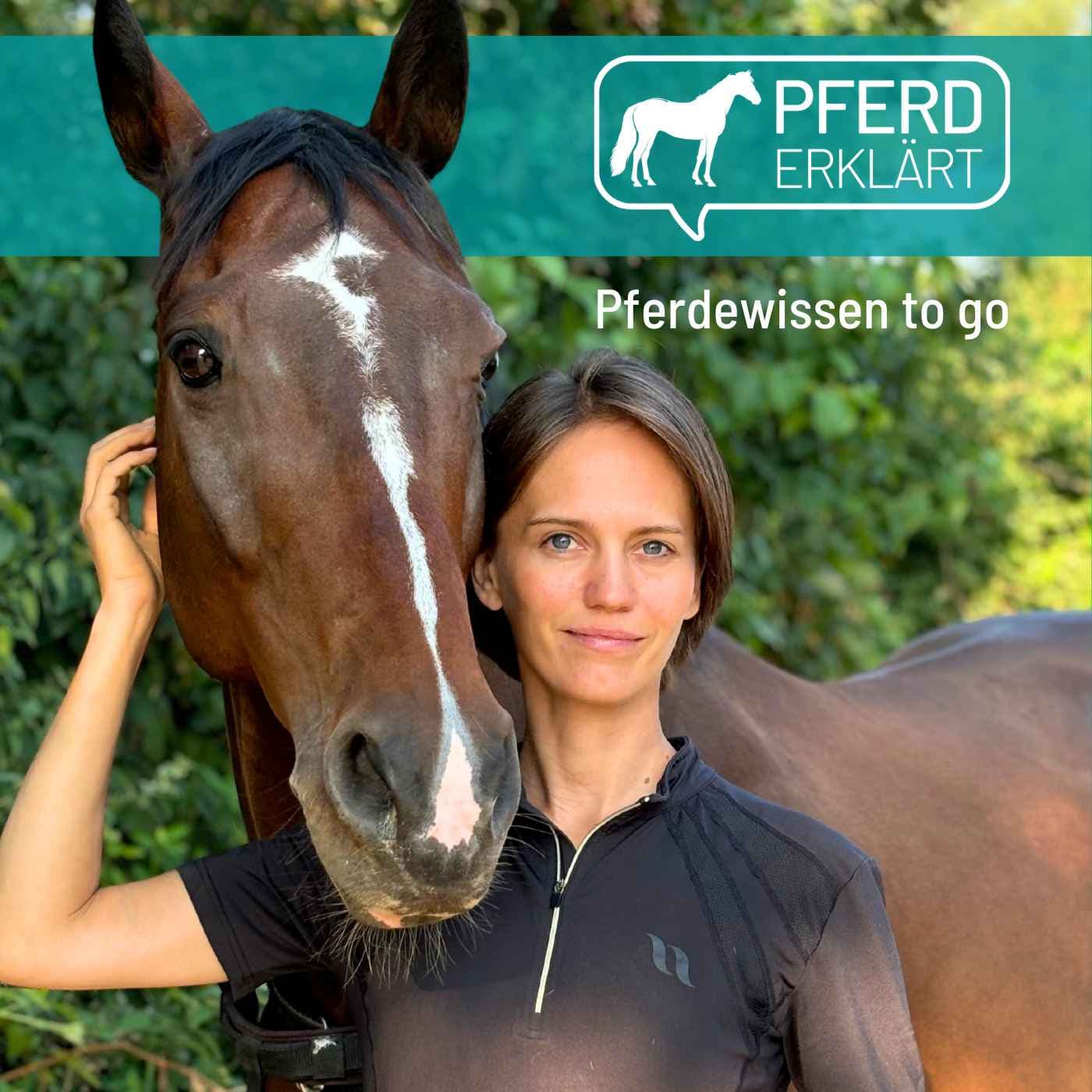Pferd erklärt - Podcasts