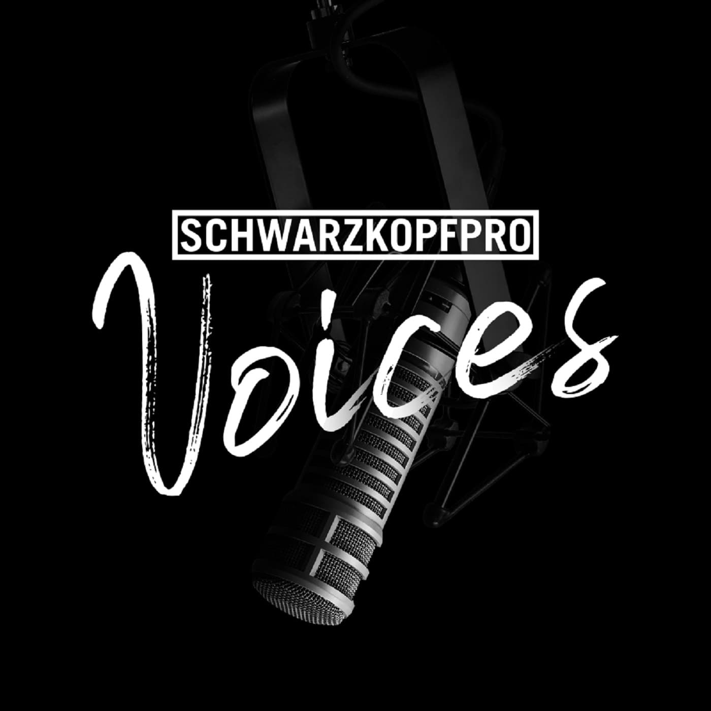 Schwarzkopfpro Voices - Podcasts