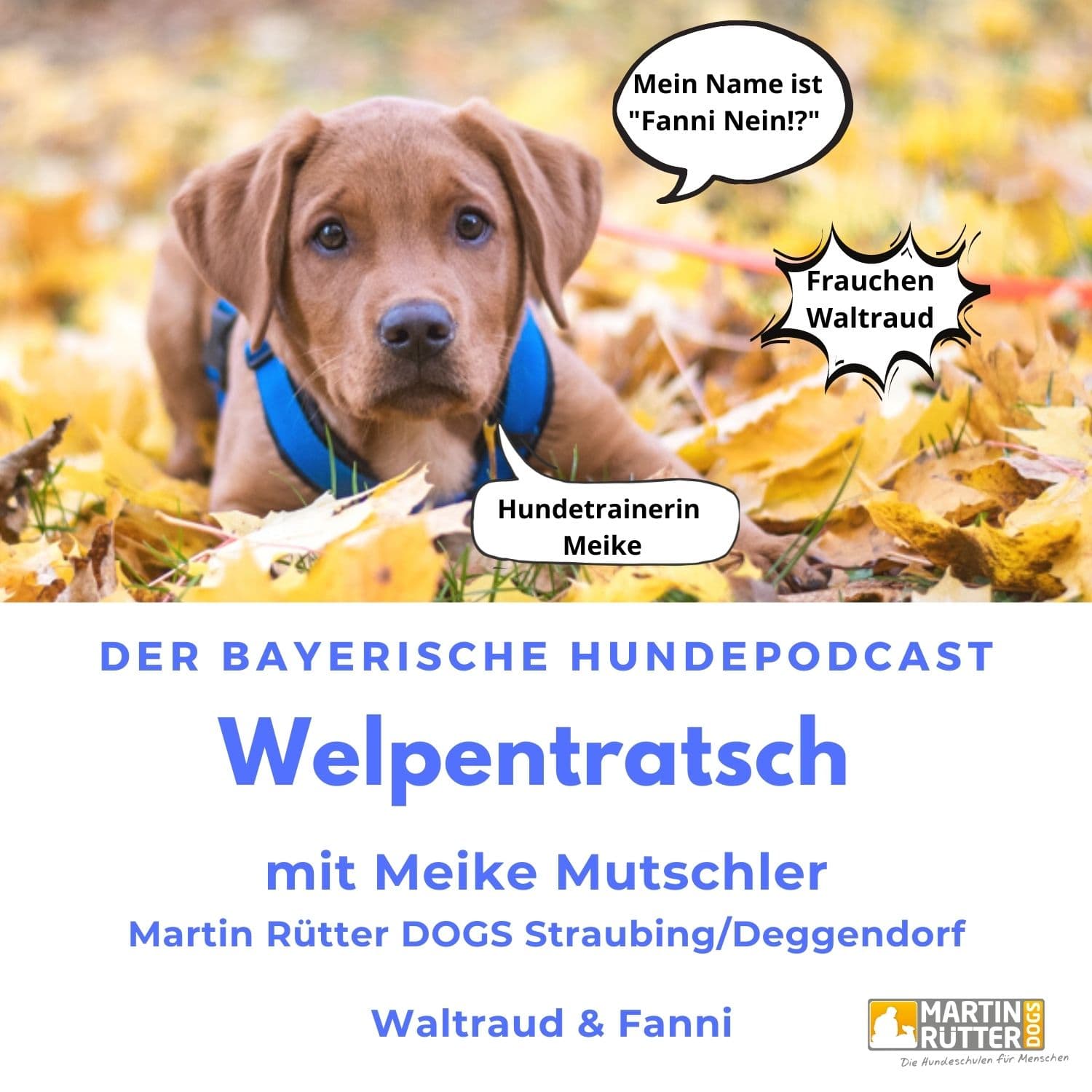 Welpentratsch - Der bayerische Hundepodcast - Podcasts