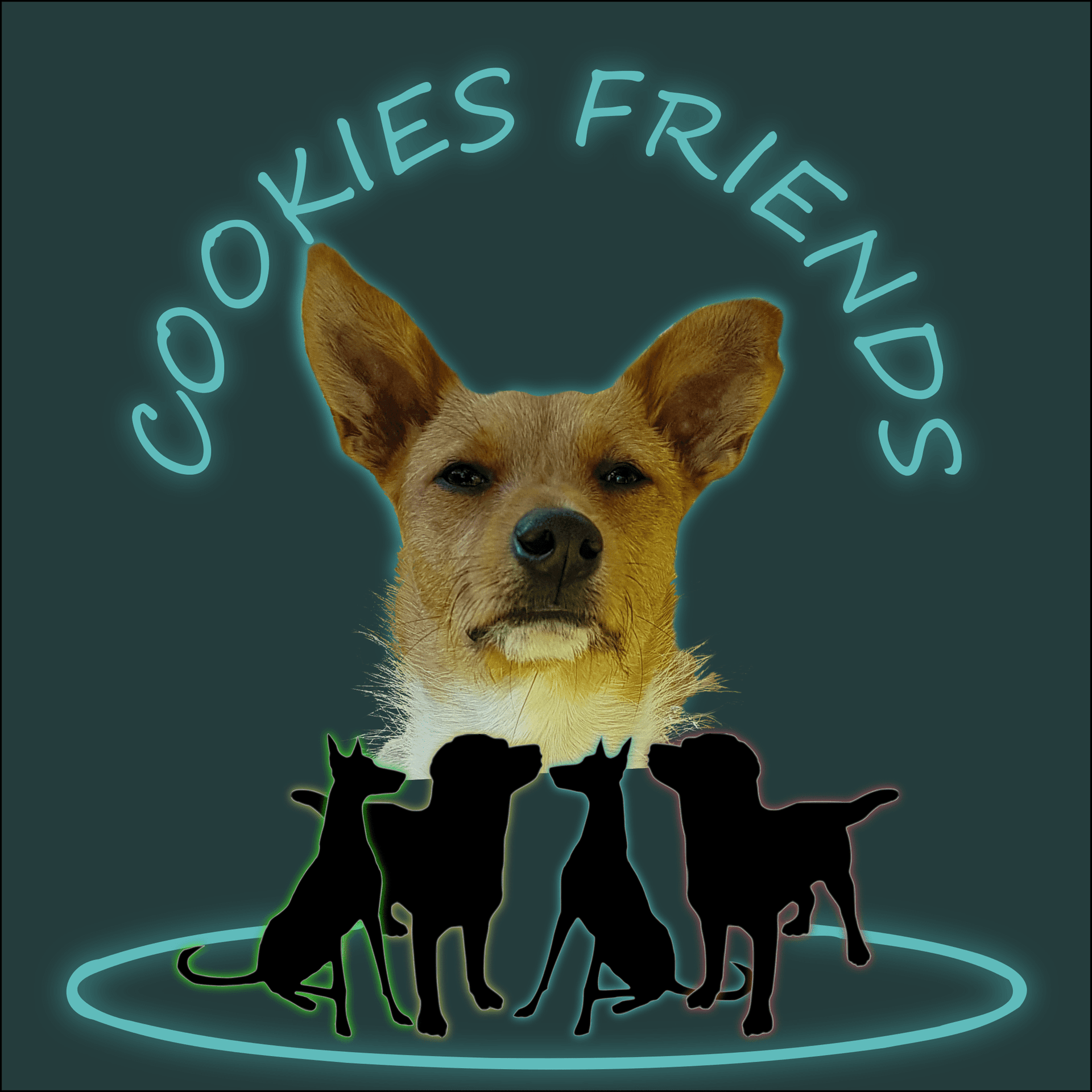 Cookies Friends. Der Podcast für Tierschutz-Hunde - Podcasts