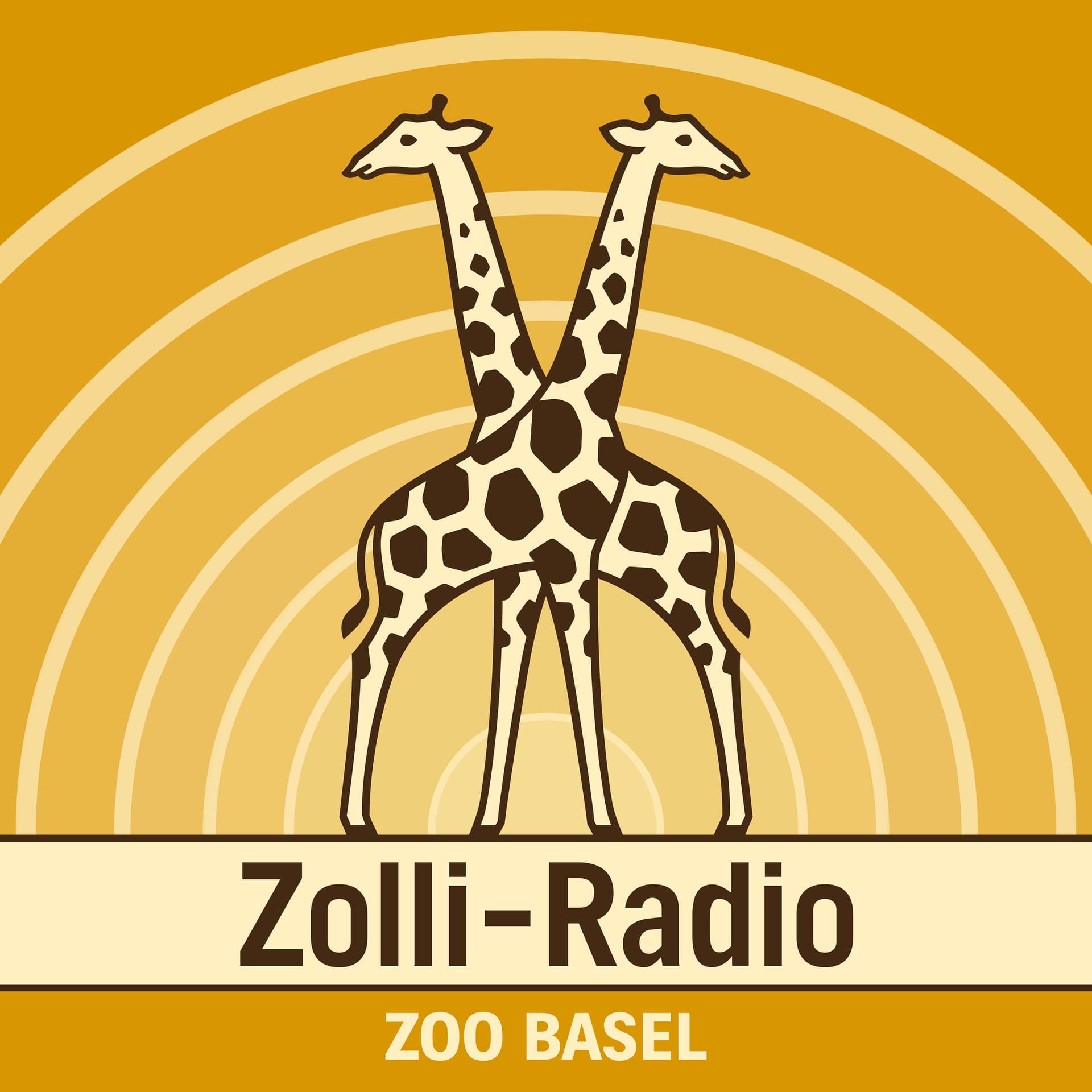 Zolli-Radio - Podcasts