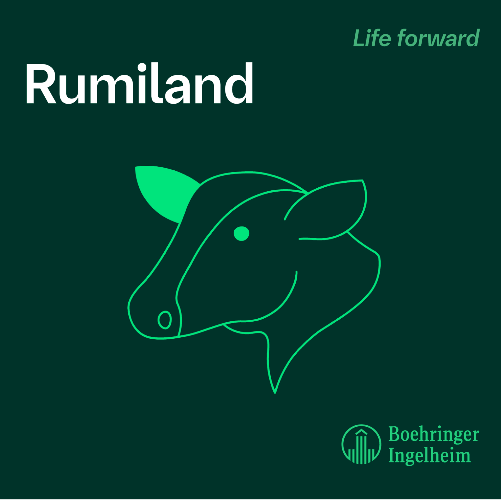 Rumiland - Podcasts