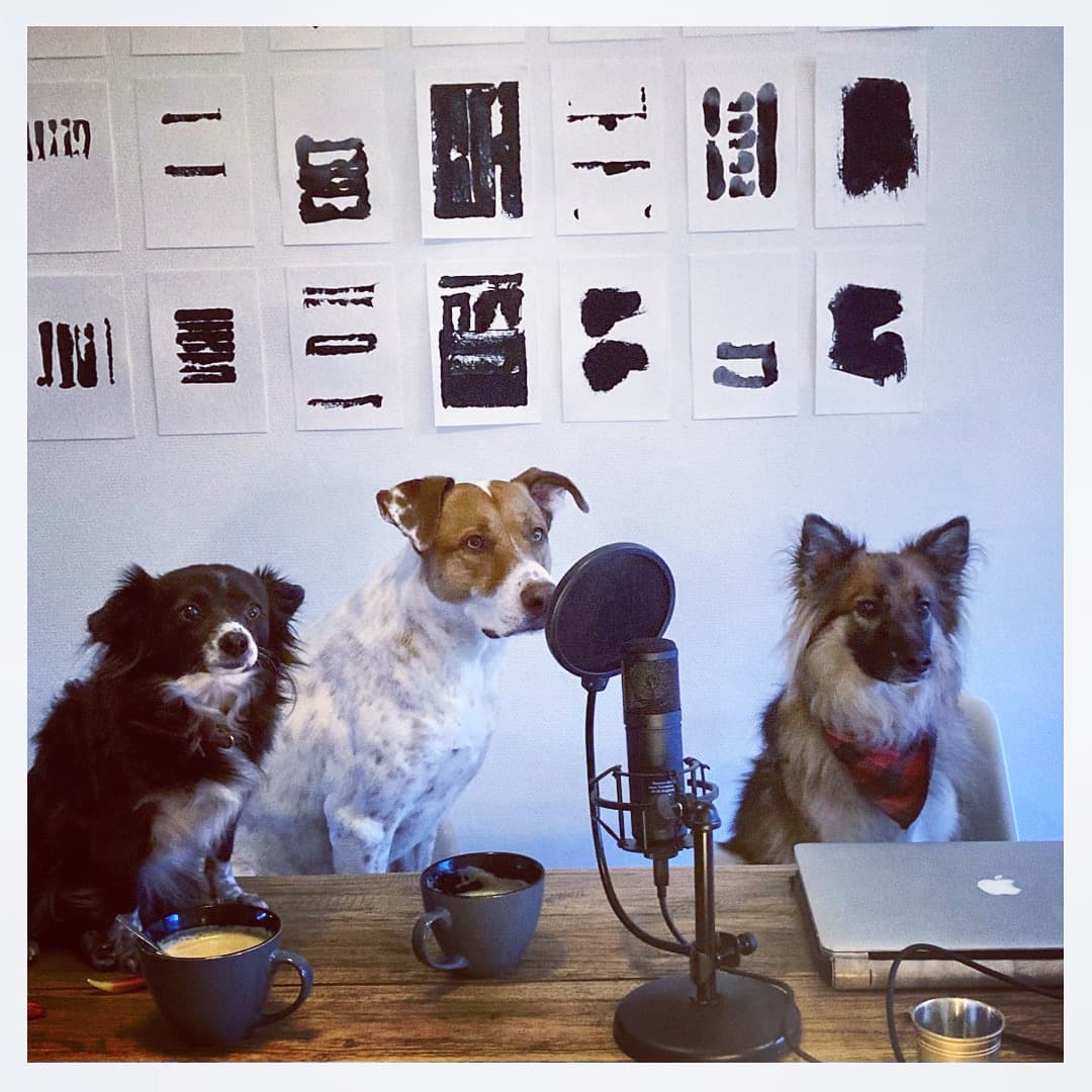 Frei Schnauze! Der Podcast von Hund&Co - Podcasts