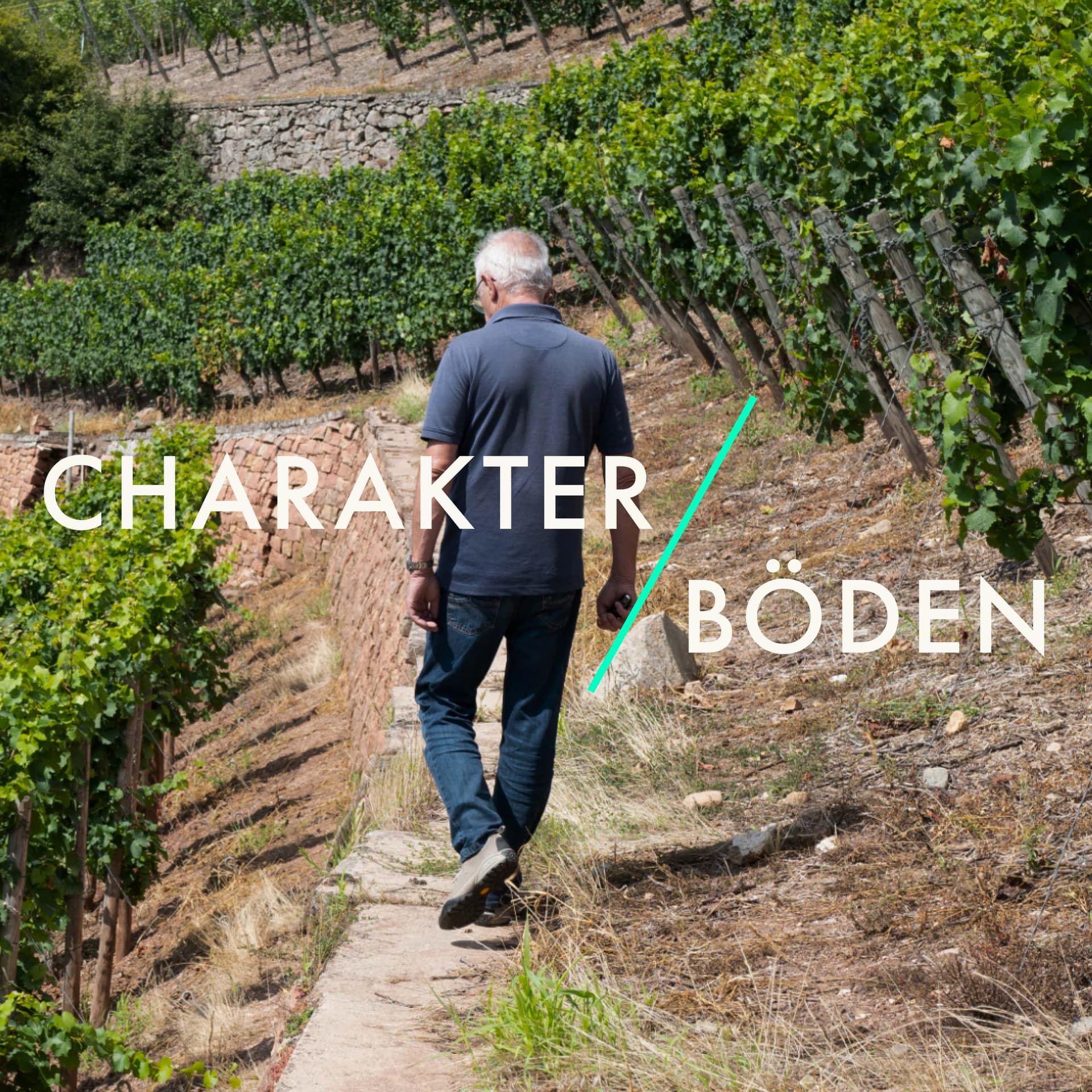 Charakter / Böden - Was großen Wein ausmacht - Podcasts