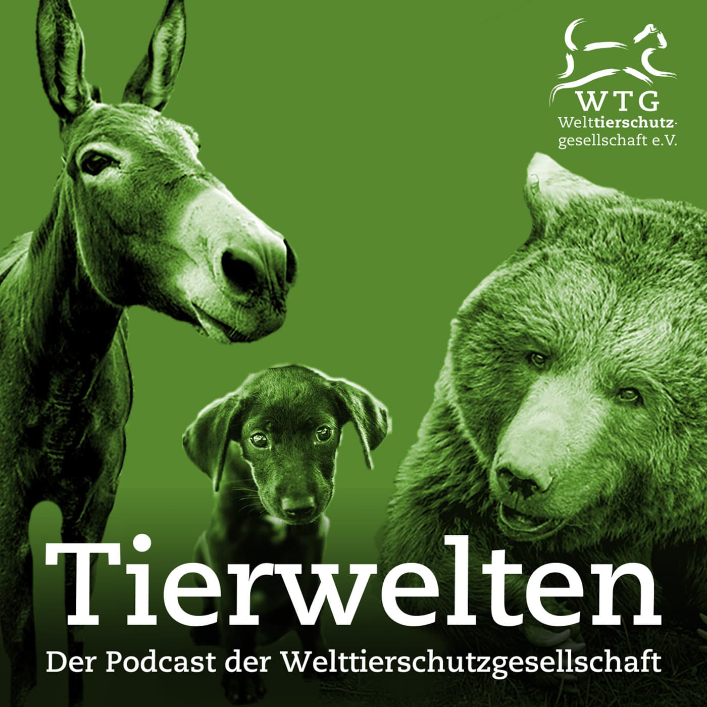 Tierwelten - Podcasts