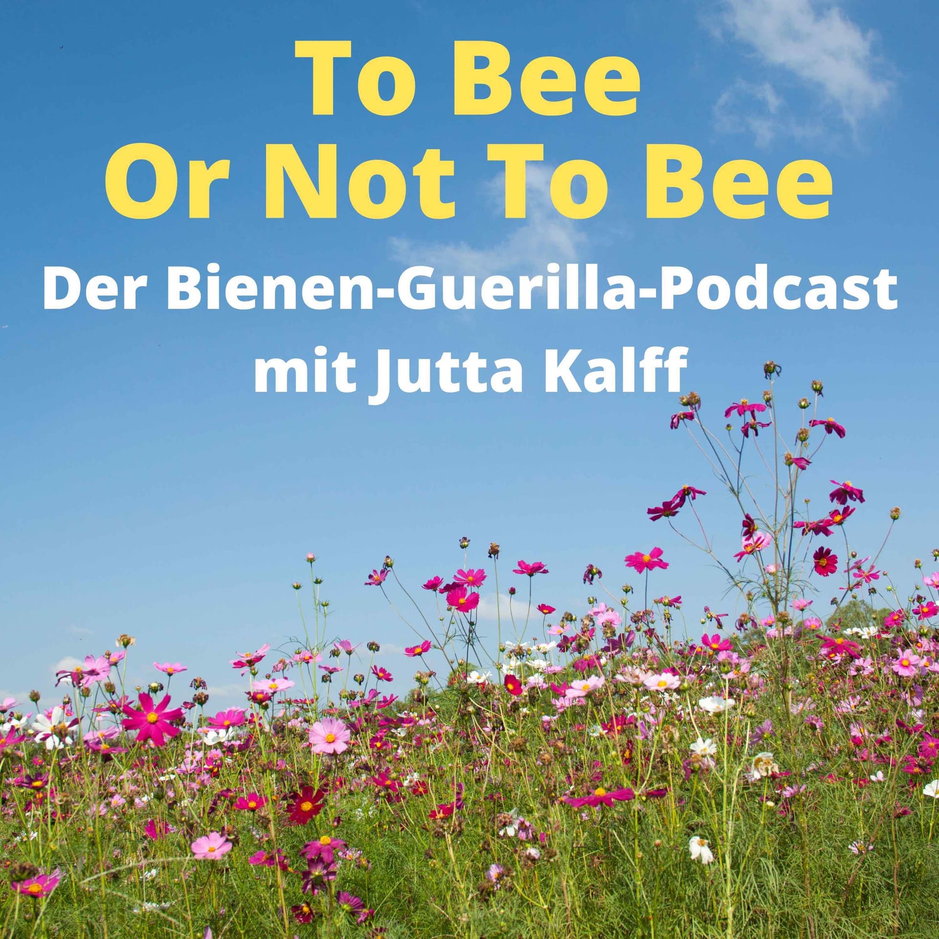 To Bee Or Not To Bee - Podcasts