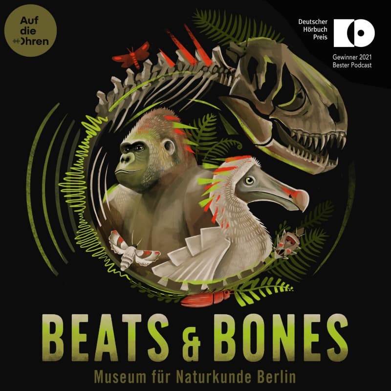 Beats & Bones - Podcasts
