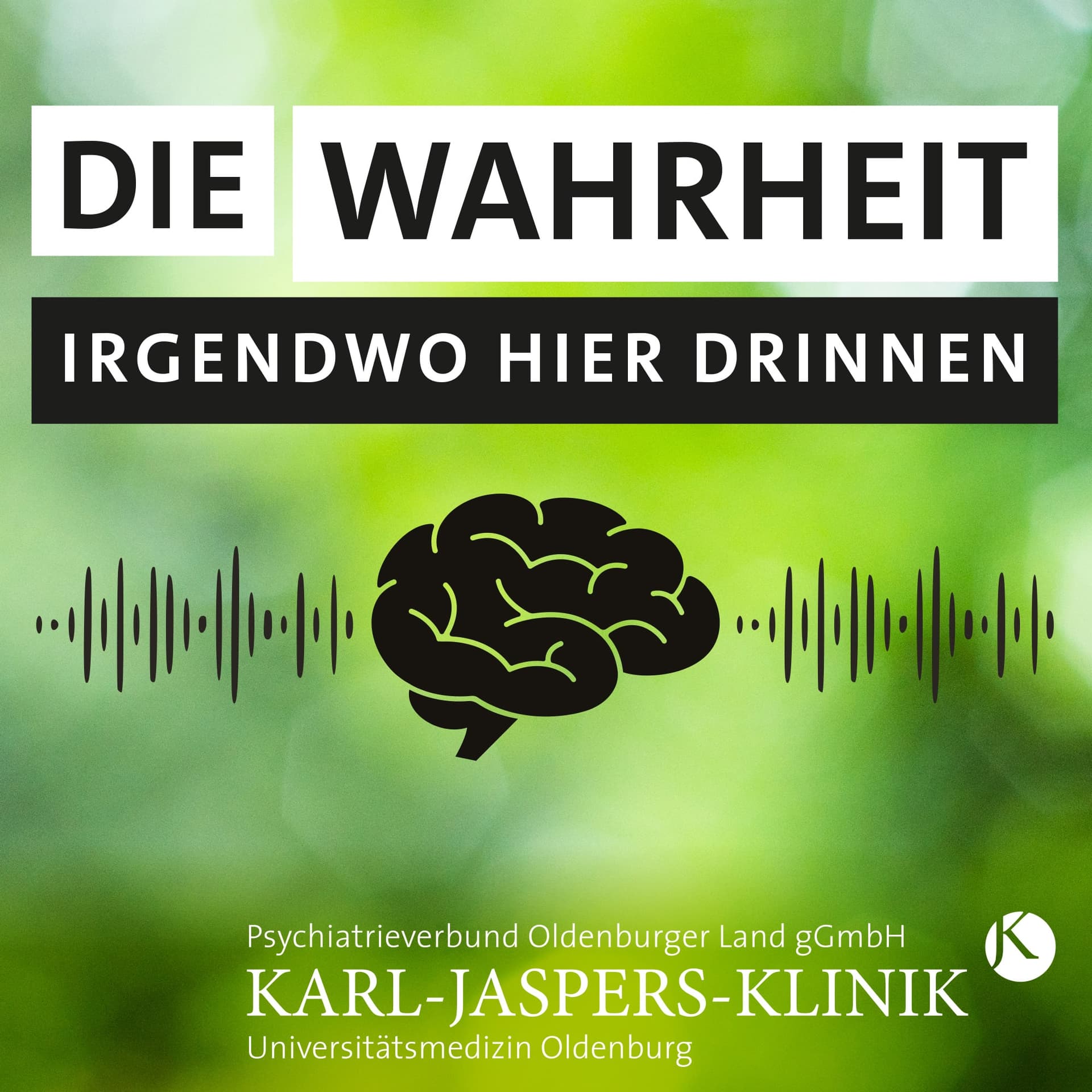 Die Wahrheit Irgendwo Hier Drinnen - Podcasts