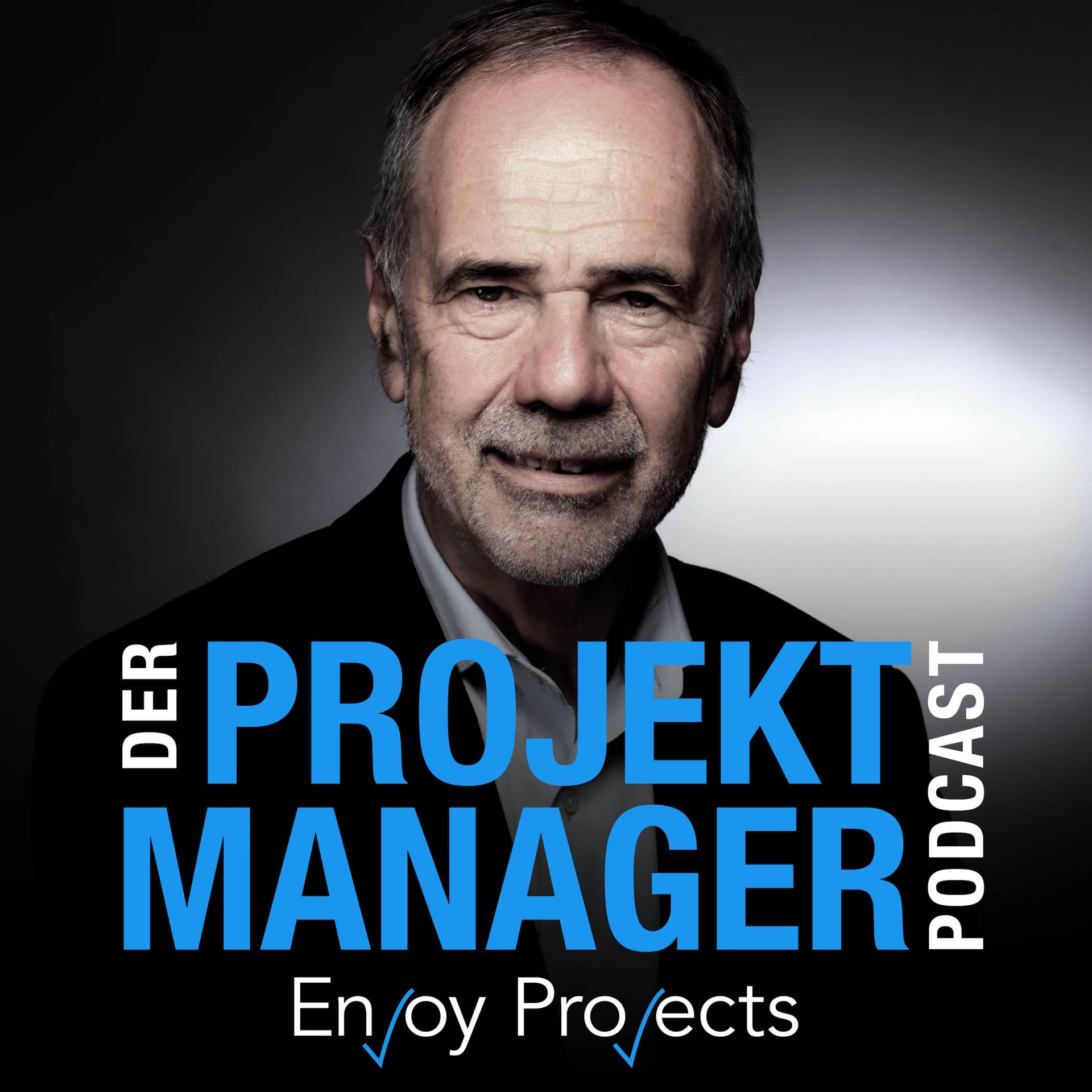 Als IT-Projektmanager nachhaltig erfolgreich - Podcasts