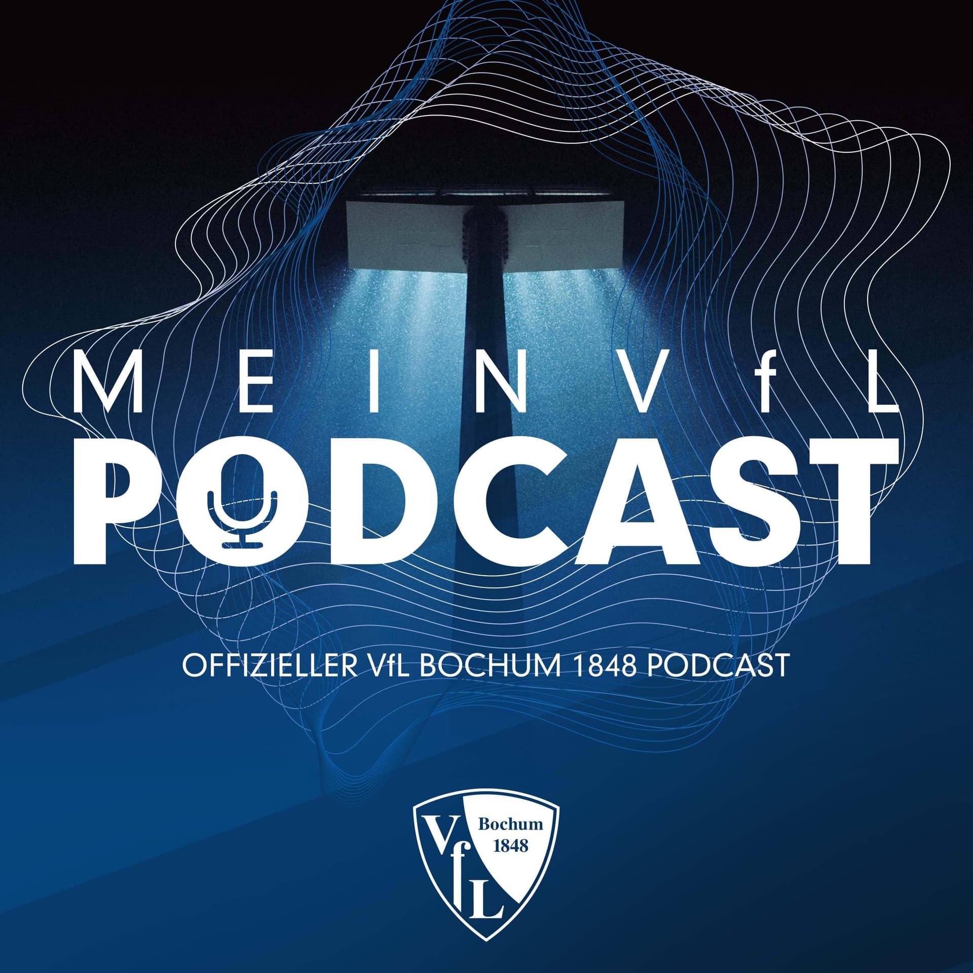 meinVfL-Podcast - Podcasts