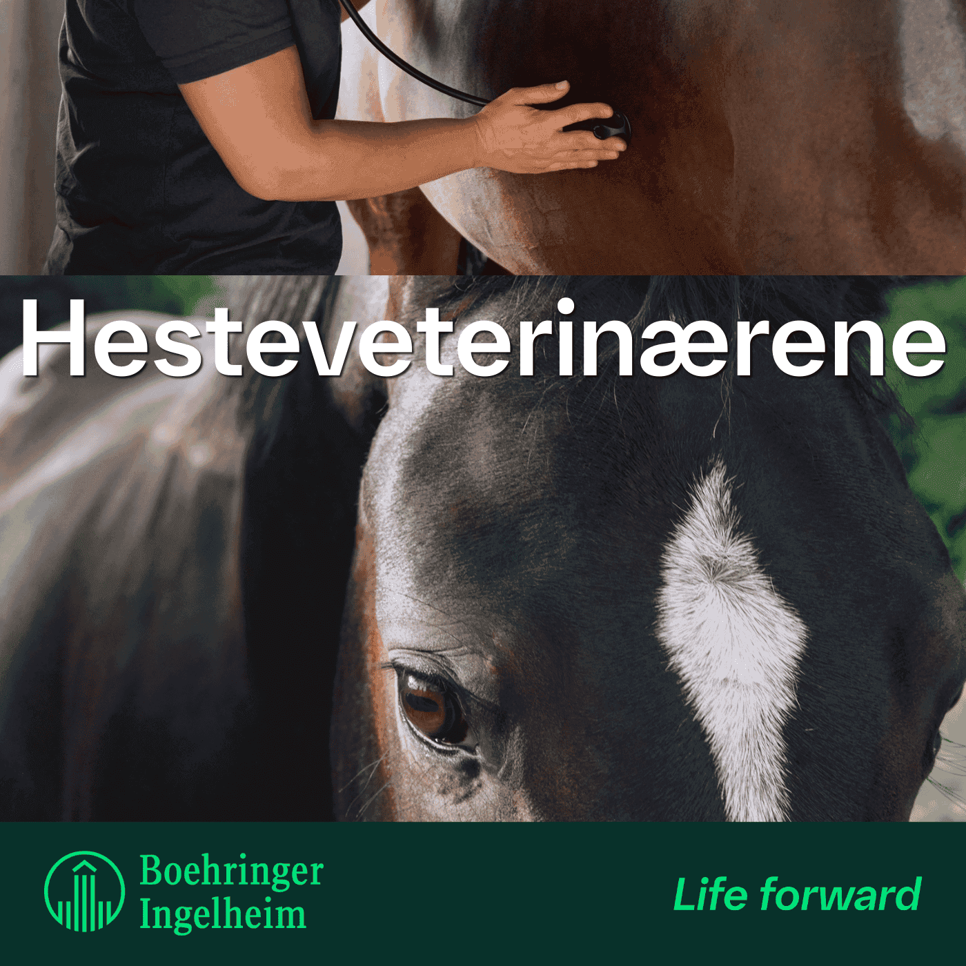 Hesteveterinærene - Podcasts