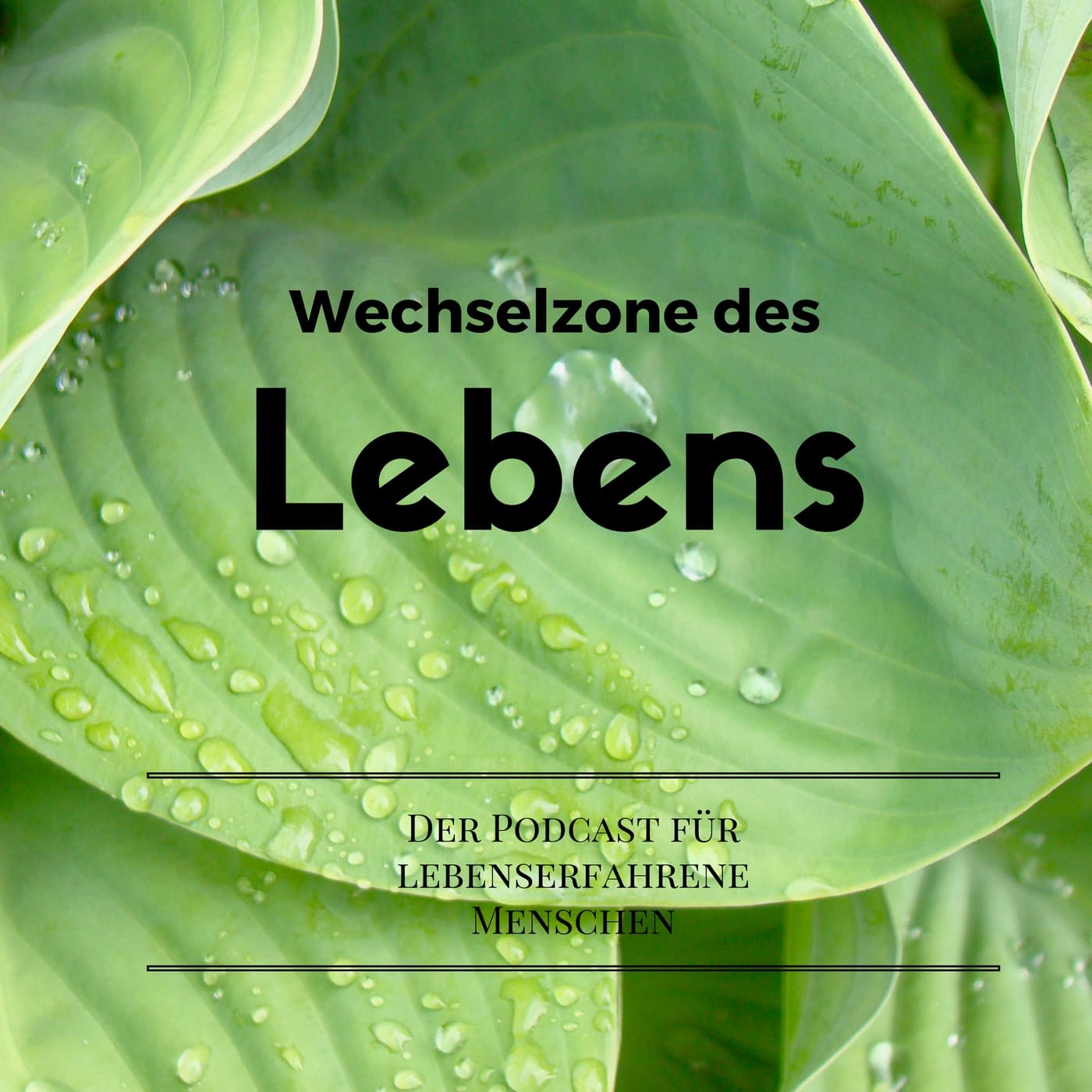 Wechselzone des Lebens - Podcasts