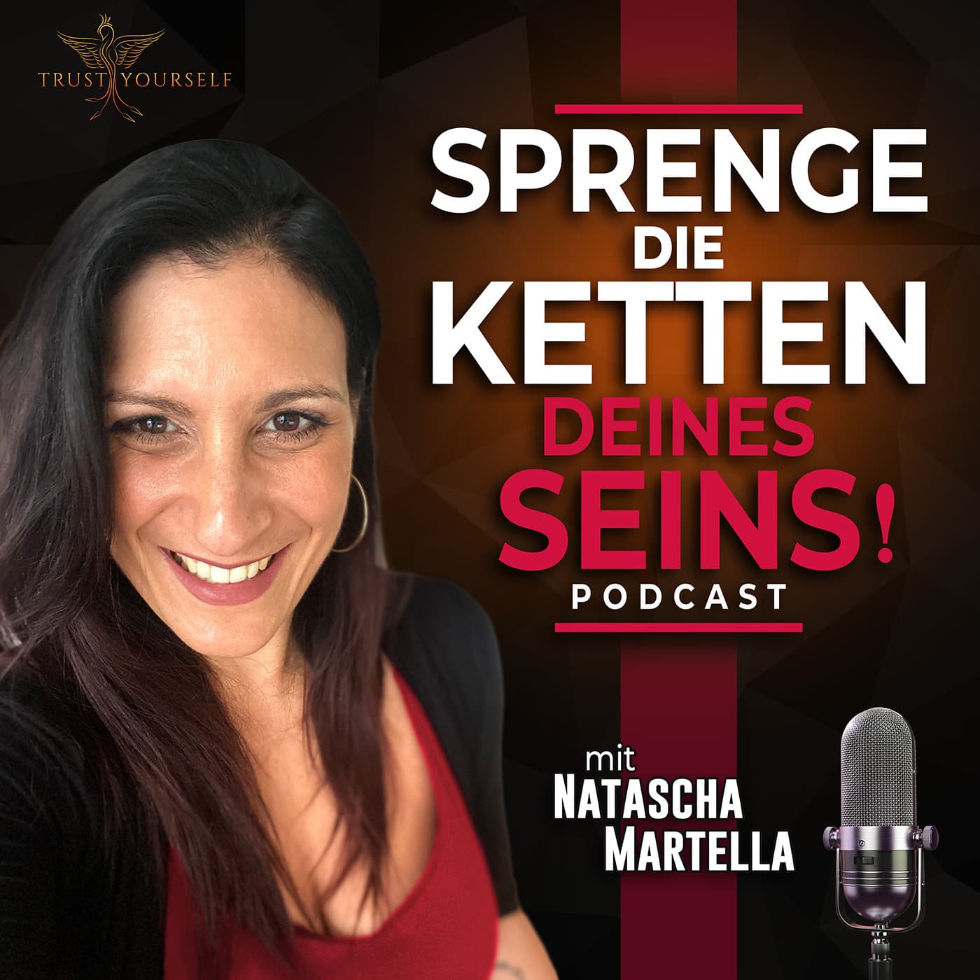 Sprenge die Ketten deines Seins! Podcast - Podcasts