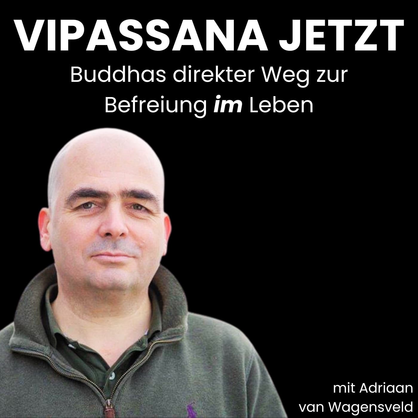 Vipassana Jetzt - Podcasts