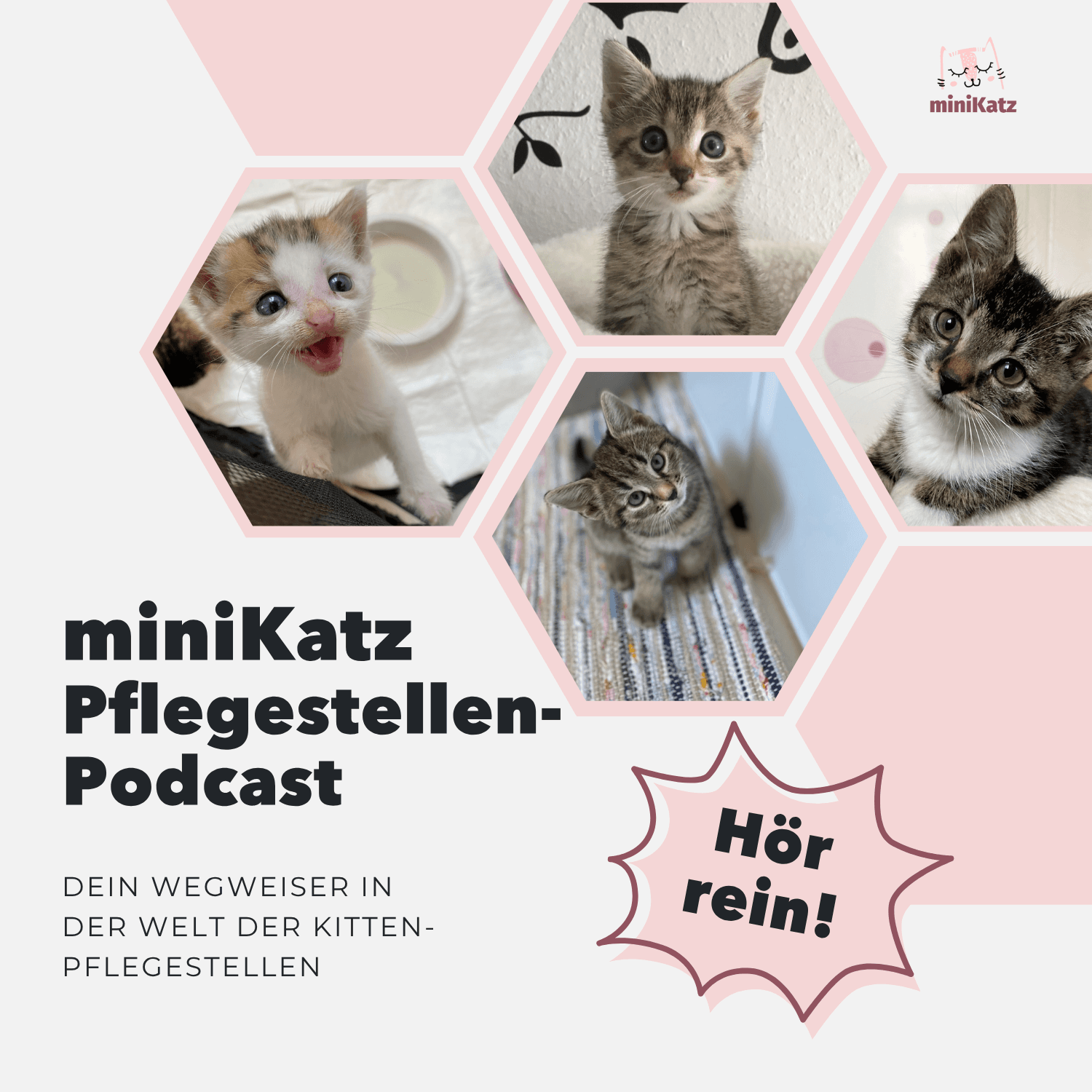miniKatz Pflegestellen-Podcast - Podcasts