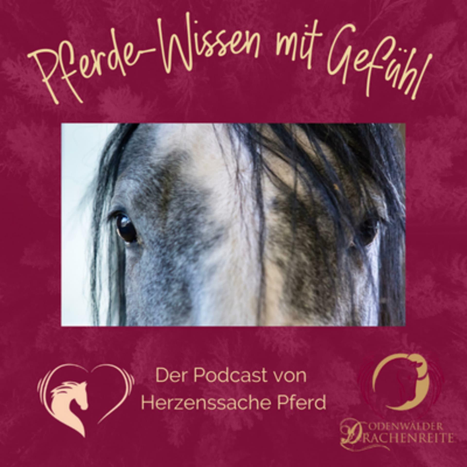 Pferde-Wissen mit Gefühl - Der Podcast von Herzenssache Pferd - Podcasts