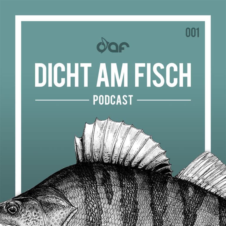 Dicht am Fisch - Podcasts