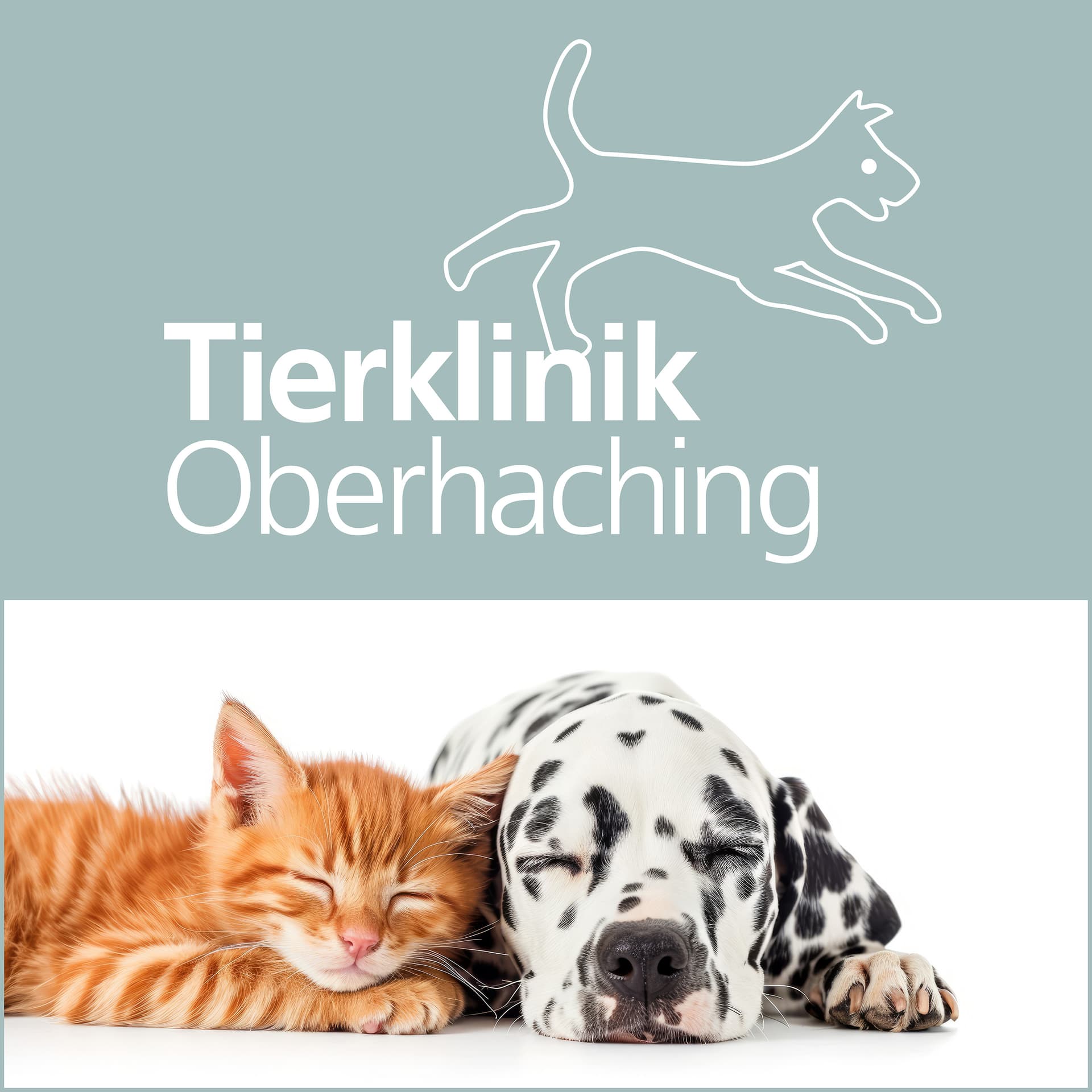 Tierisch gesund – Medizin, Tipps und Geschichten aus der Tierklinik Oberhaching - Podcasts
