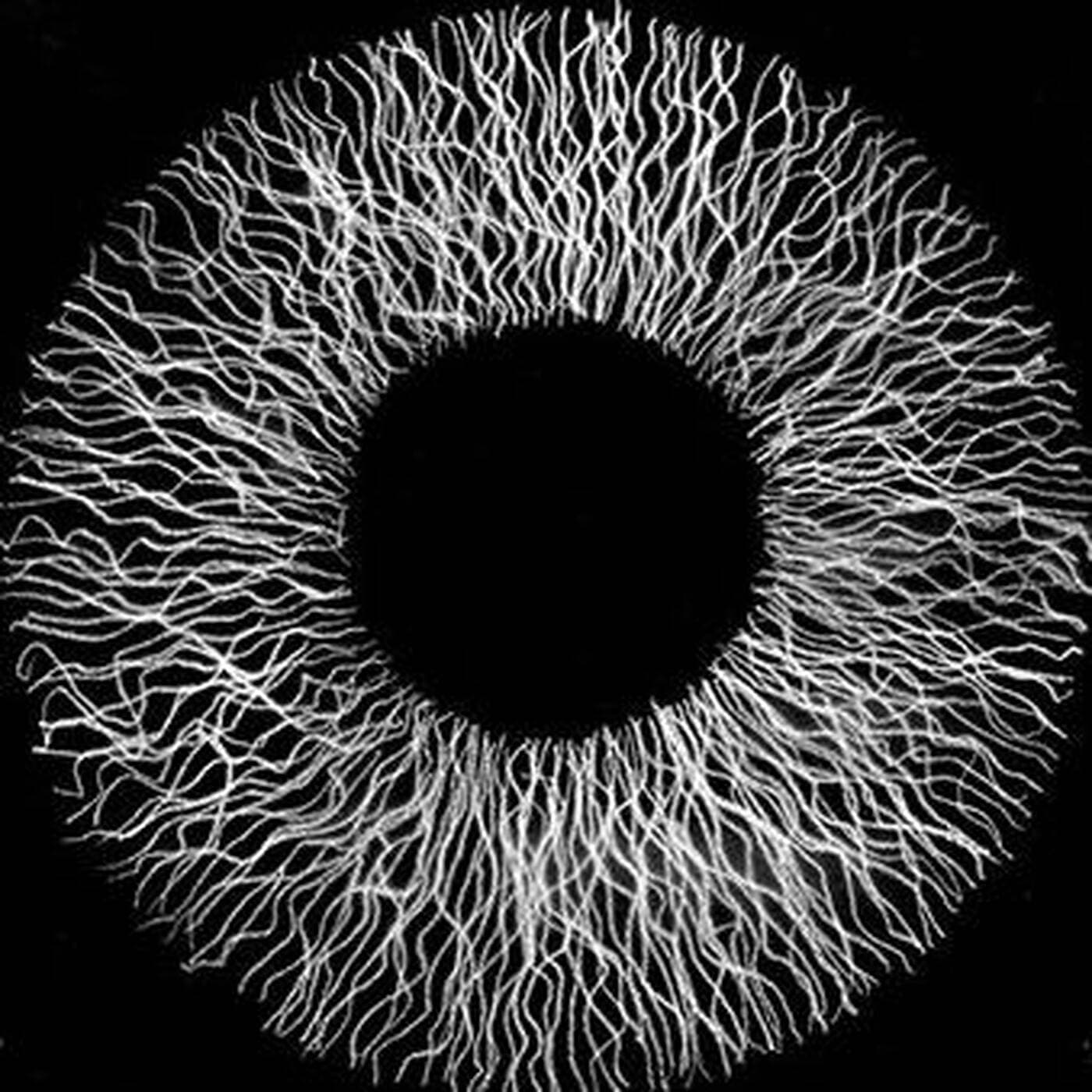 What is sound ? - Podcasts