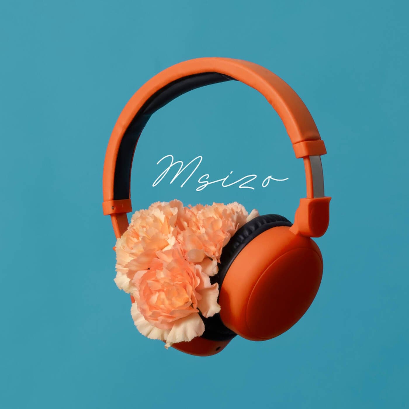 Msizo Sessions - Podcasts