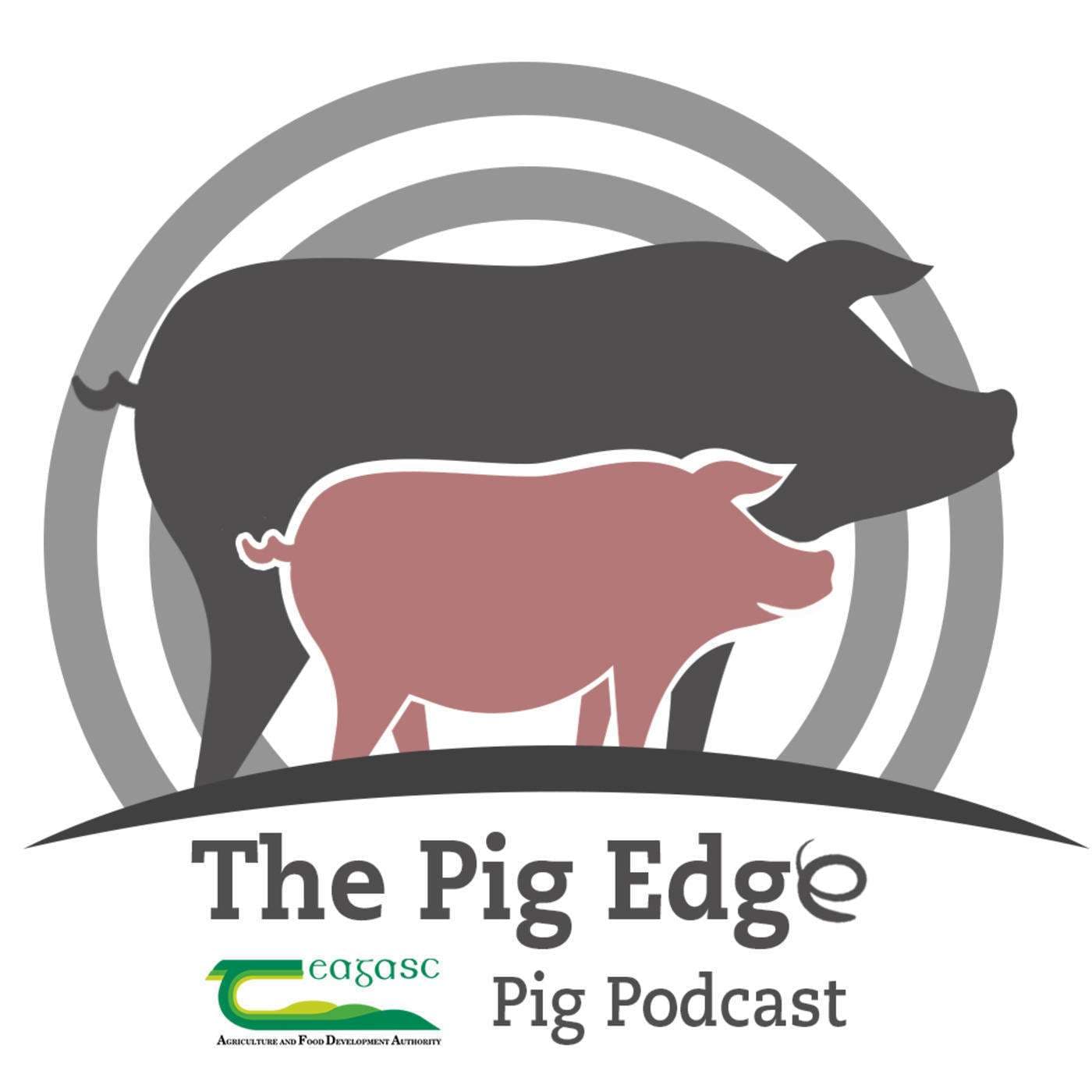 The Pig Edge - Podcasts